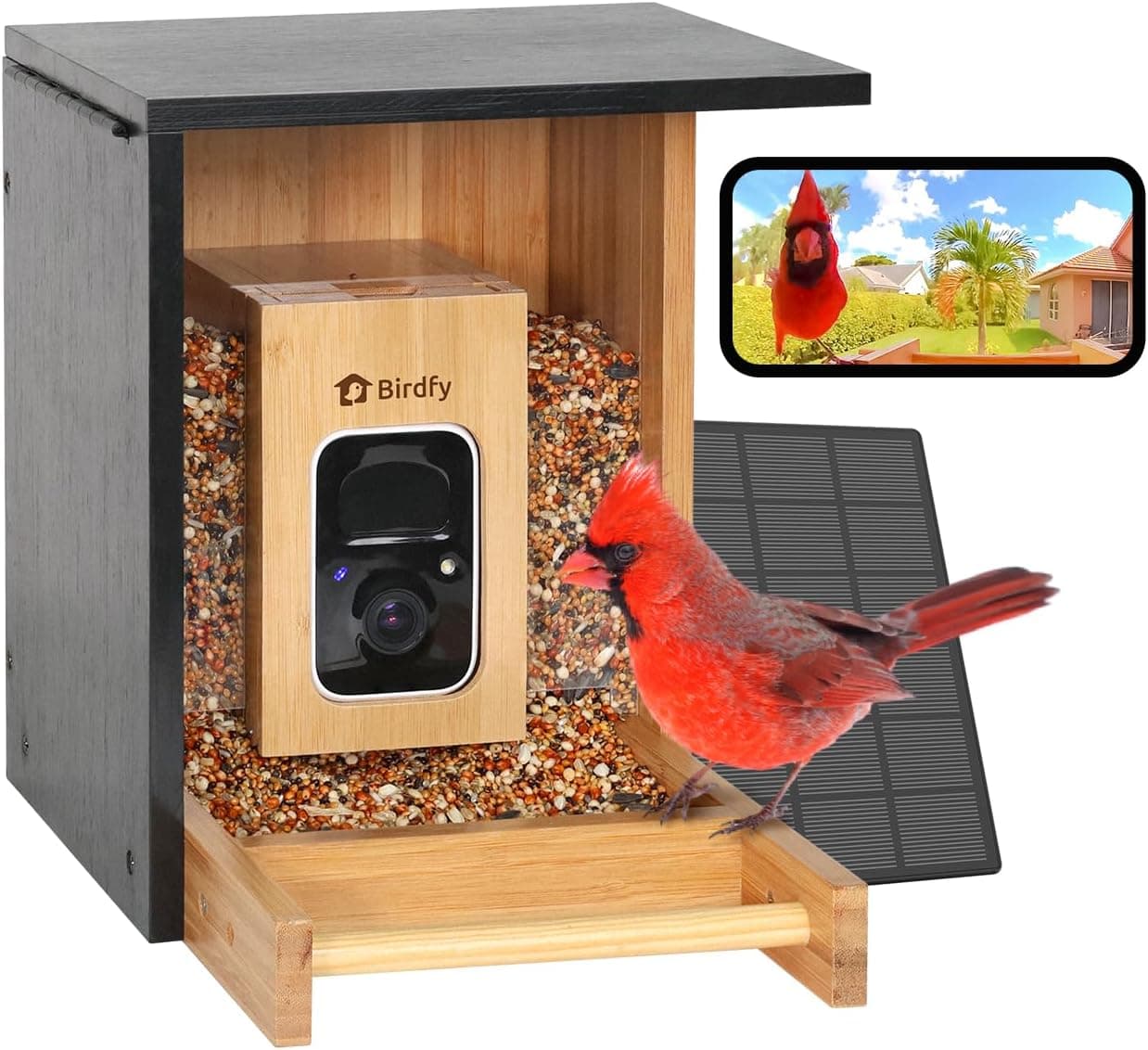 Birdfy Smart Bird Feeder Bamboo Edition - image 1