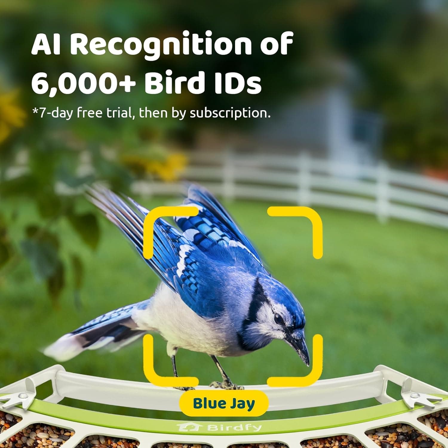 Birdfy Smart Bird Feeder Metal Edition thumbnail 4
