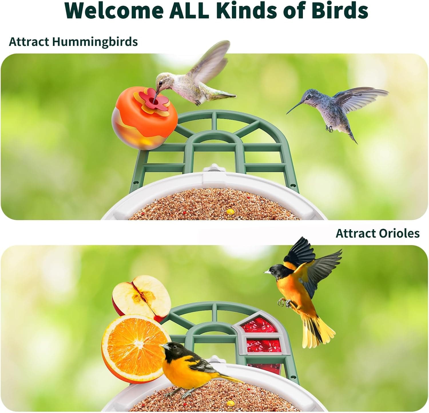 HARYMOR Smart Bird Feeder with AI Camera thumbnail 4