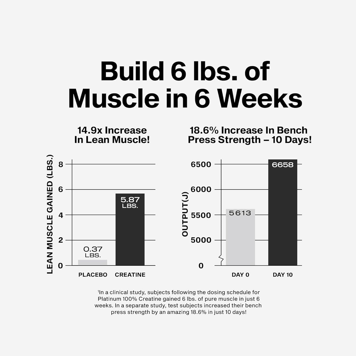 MuscleTech Platinum Pure Creatine Monohydrate Powder thumbnail 5