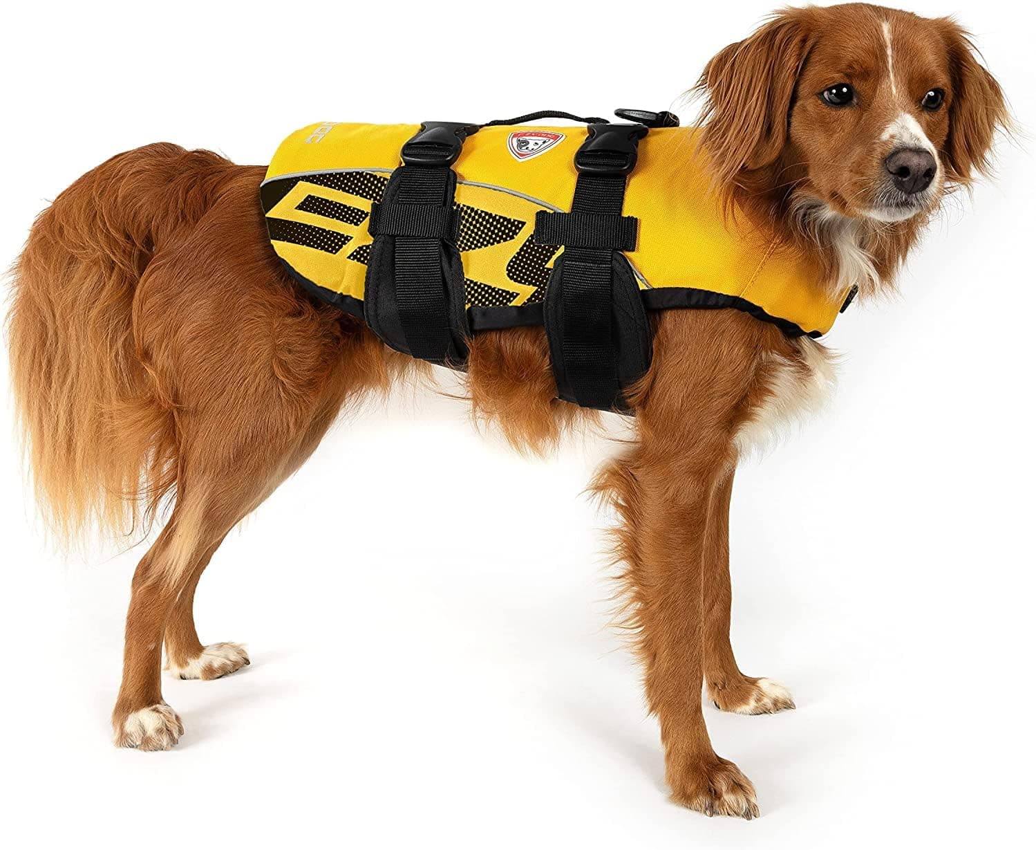 EzyDog DFD Dog Flotation Device thumbnail 2