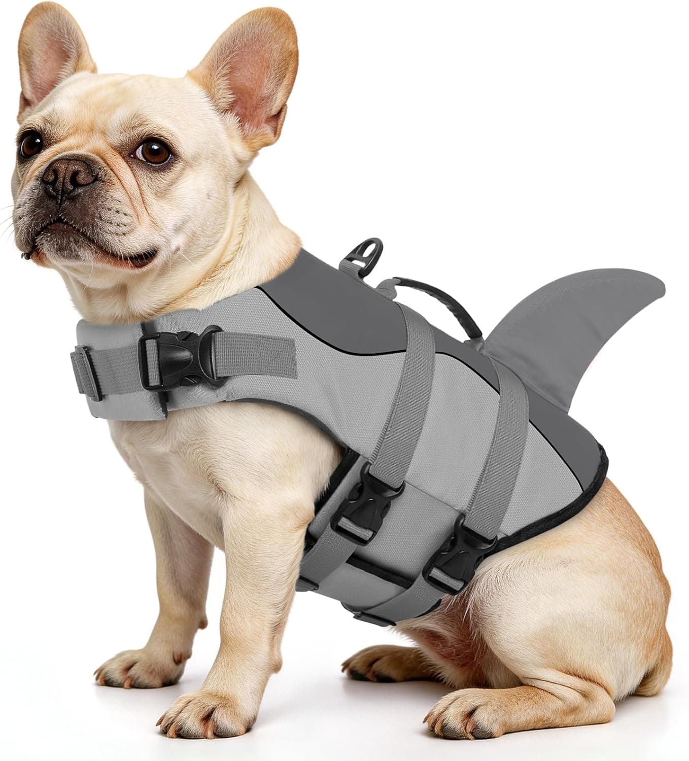 Queenmore Reflective Dog Life Jacket - image 1