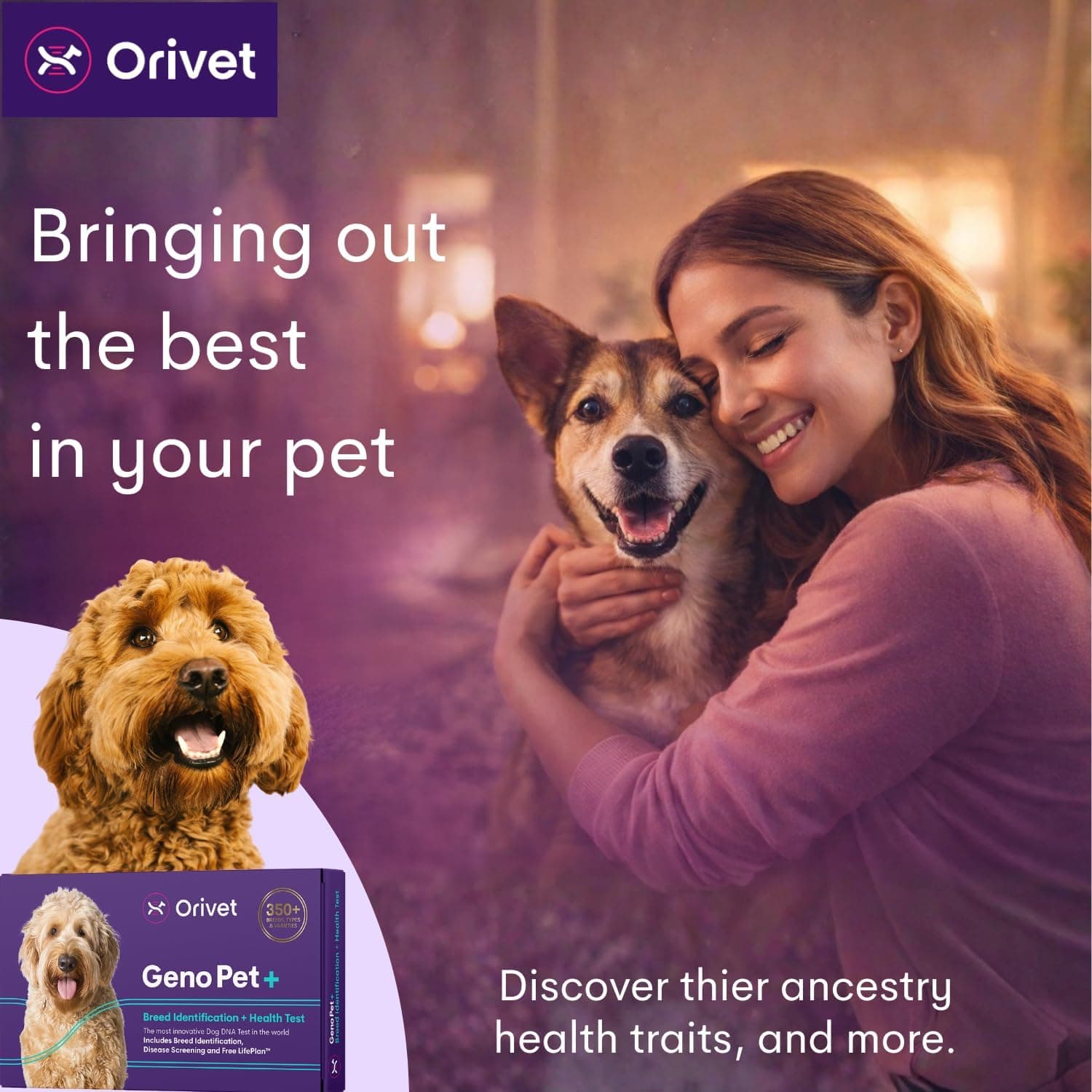Orivet GenoPet Plus 5.0 Dog DNA Test thumbnail 3