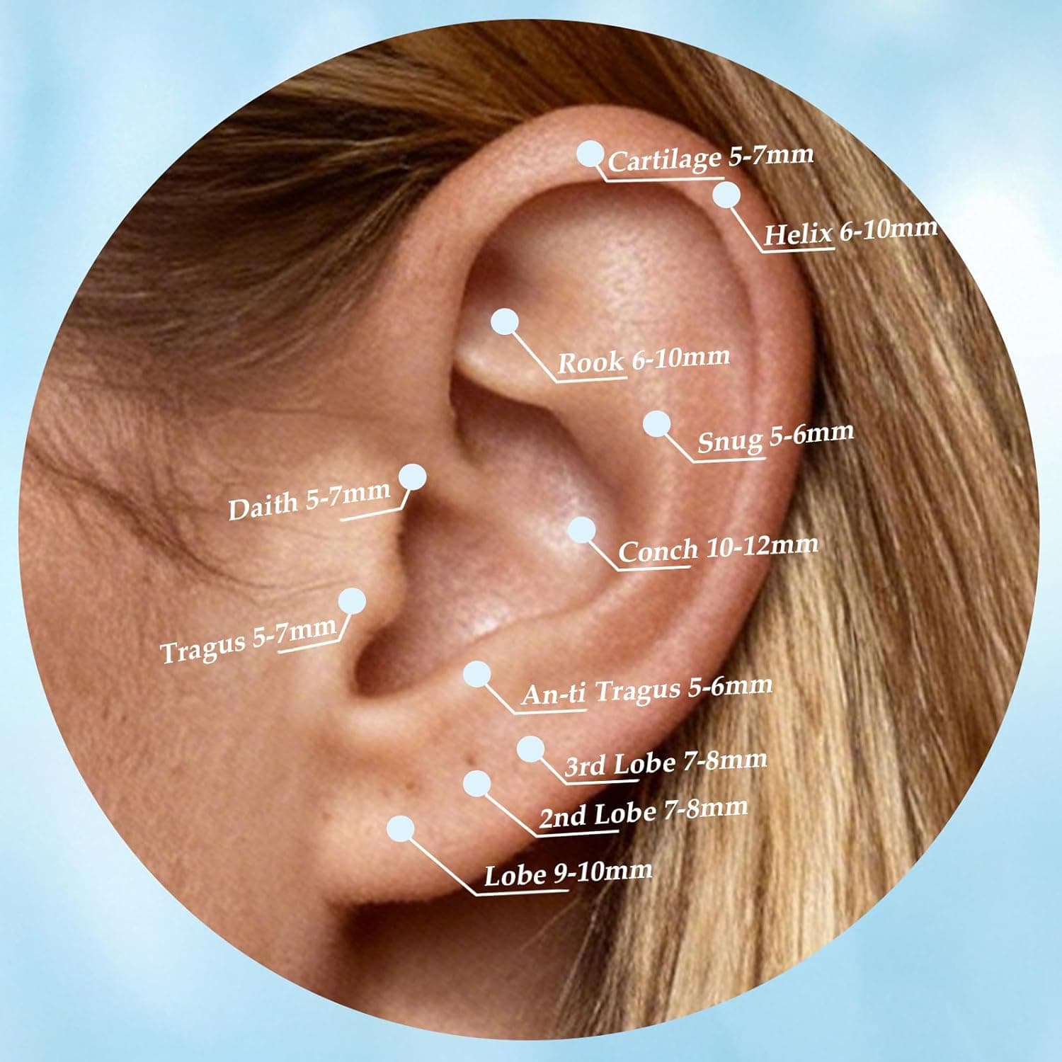 limerencia F136 Implant Grade Titanium Flat Back Stud Earrings thumbnail 4