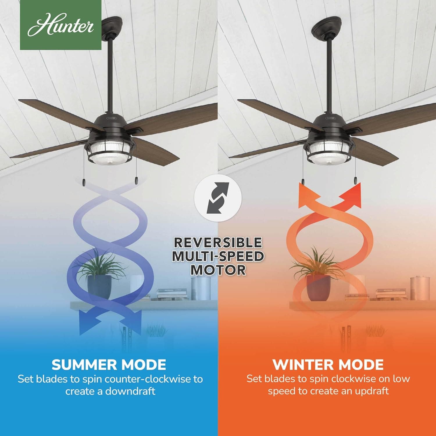 Hunter Ocala 52-Inch LED Indoor/Outdoor Ceiling Fan thumbnail 4