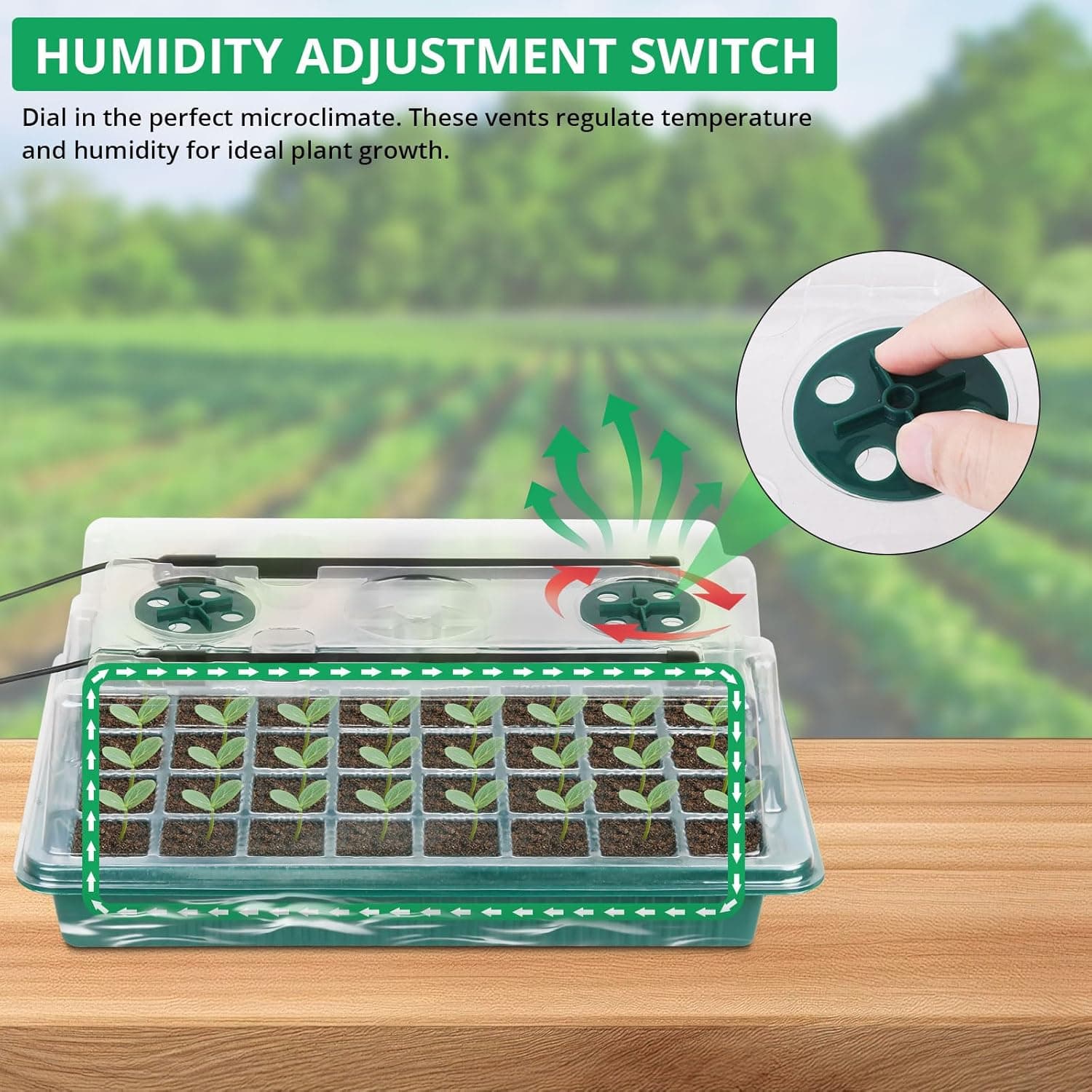 Sondiko Seed Starter Tray with Grow Light – 80 Cells, 2 Pack thumbnail 5