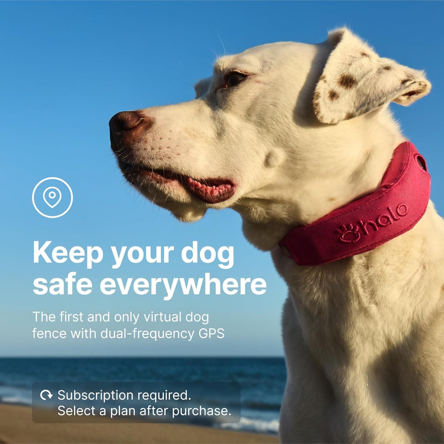 Halo Collar 4 GPS Wireless Dog Fence thumbnail 4