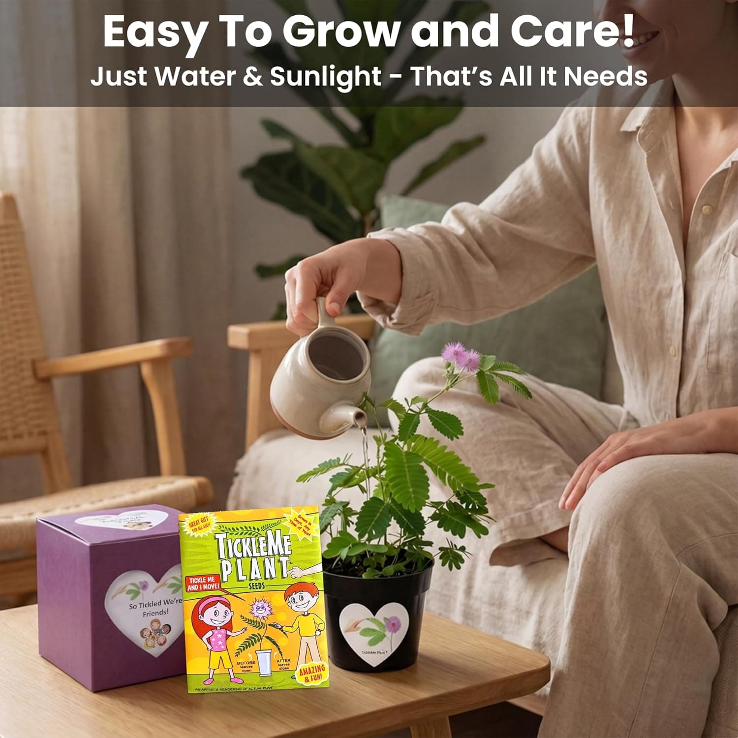 TickleMe Plant Friendship Gift Box - Grow the Plant That Moves thumbnail 3