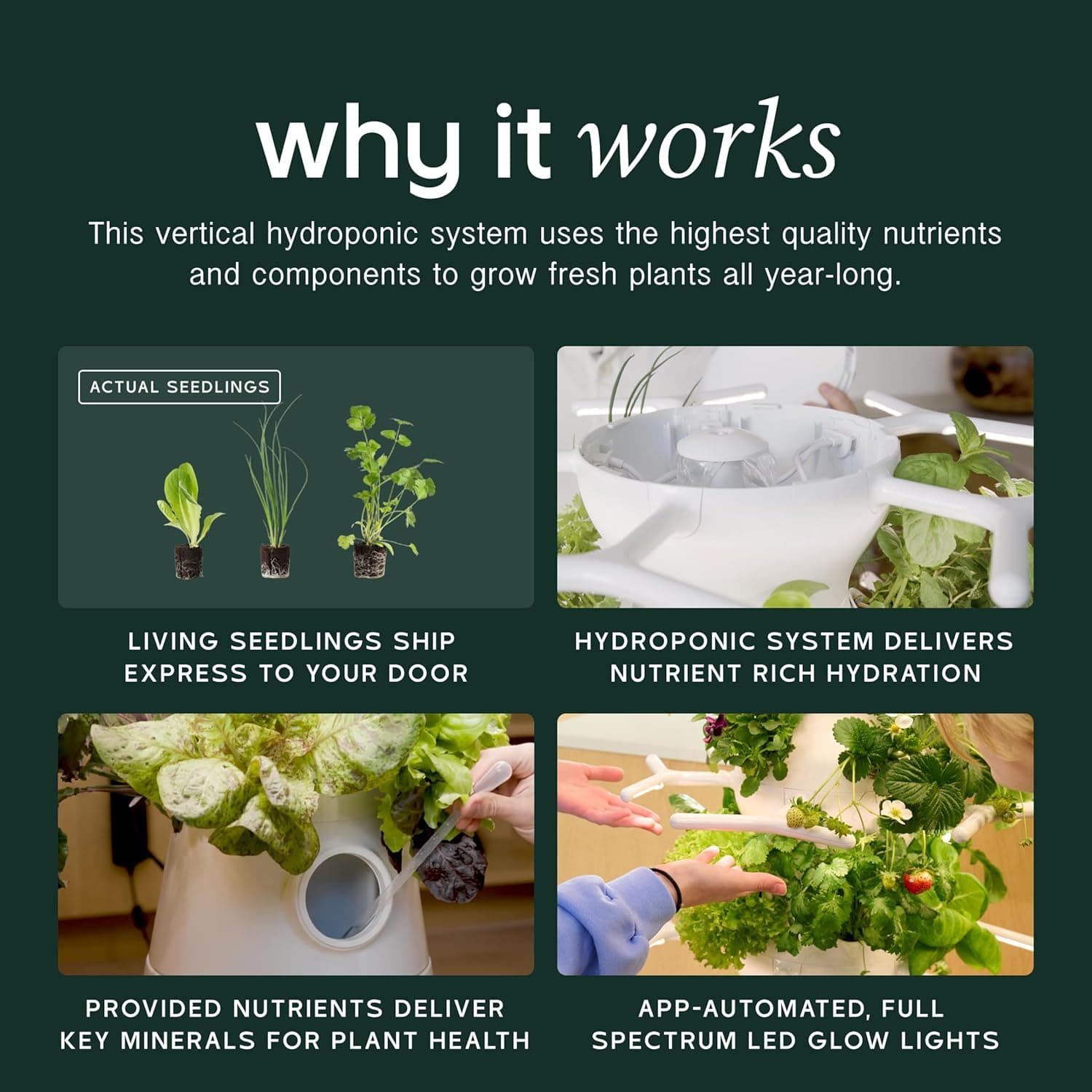 Lettuce Grow Farmstand Nook Indoor Garden thumbnail 3