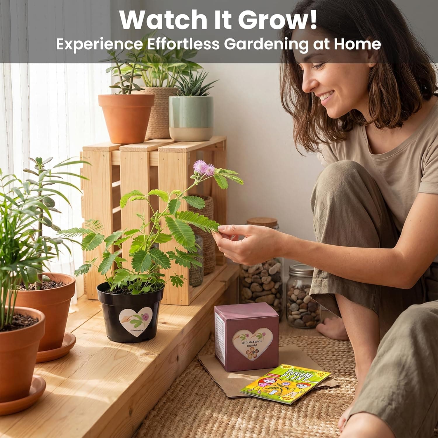 TickleMe Plant Friendship Gift Box - Grow the Plant That Moves thumbnail 4