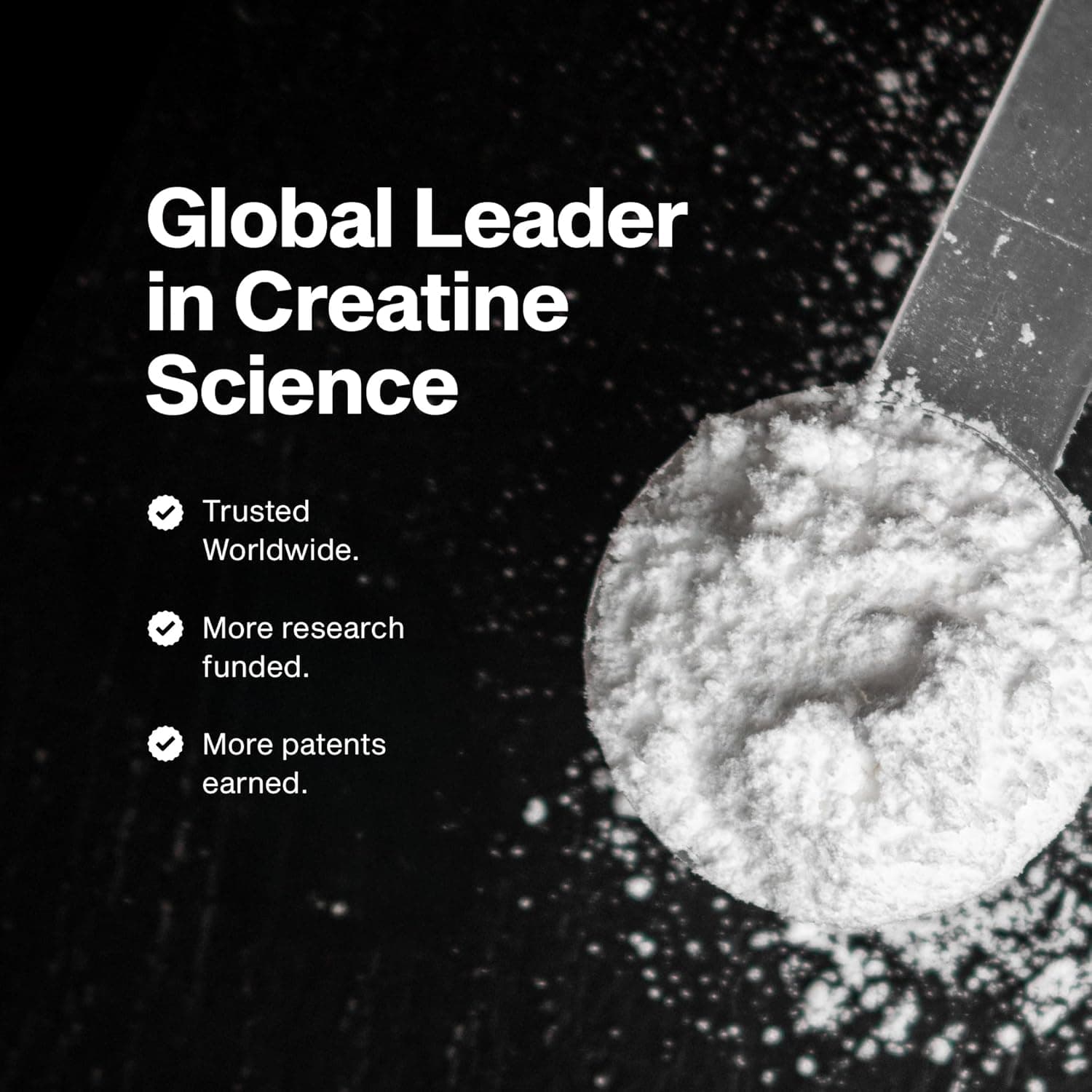 MuscleTech Platinum Pure Creatine Monohydrate Powder thumbnail 3