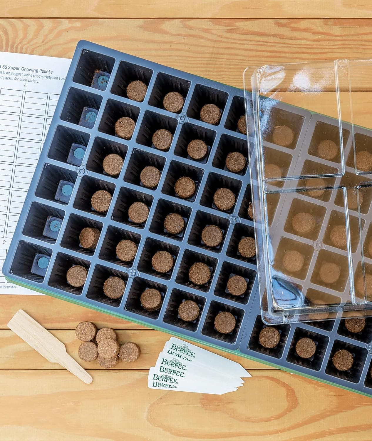 Burpee 72 Cell Greenhouse Kit with Coir Pellets and Dome thumbnail 2