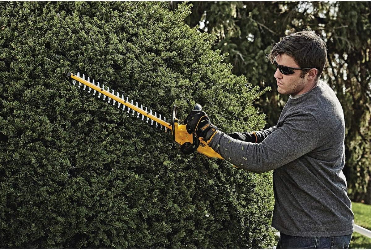 DEWALT 20V MAX Cordless Hedge Trimmer 22-Inch (DCHT820B) thumbnail 2