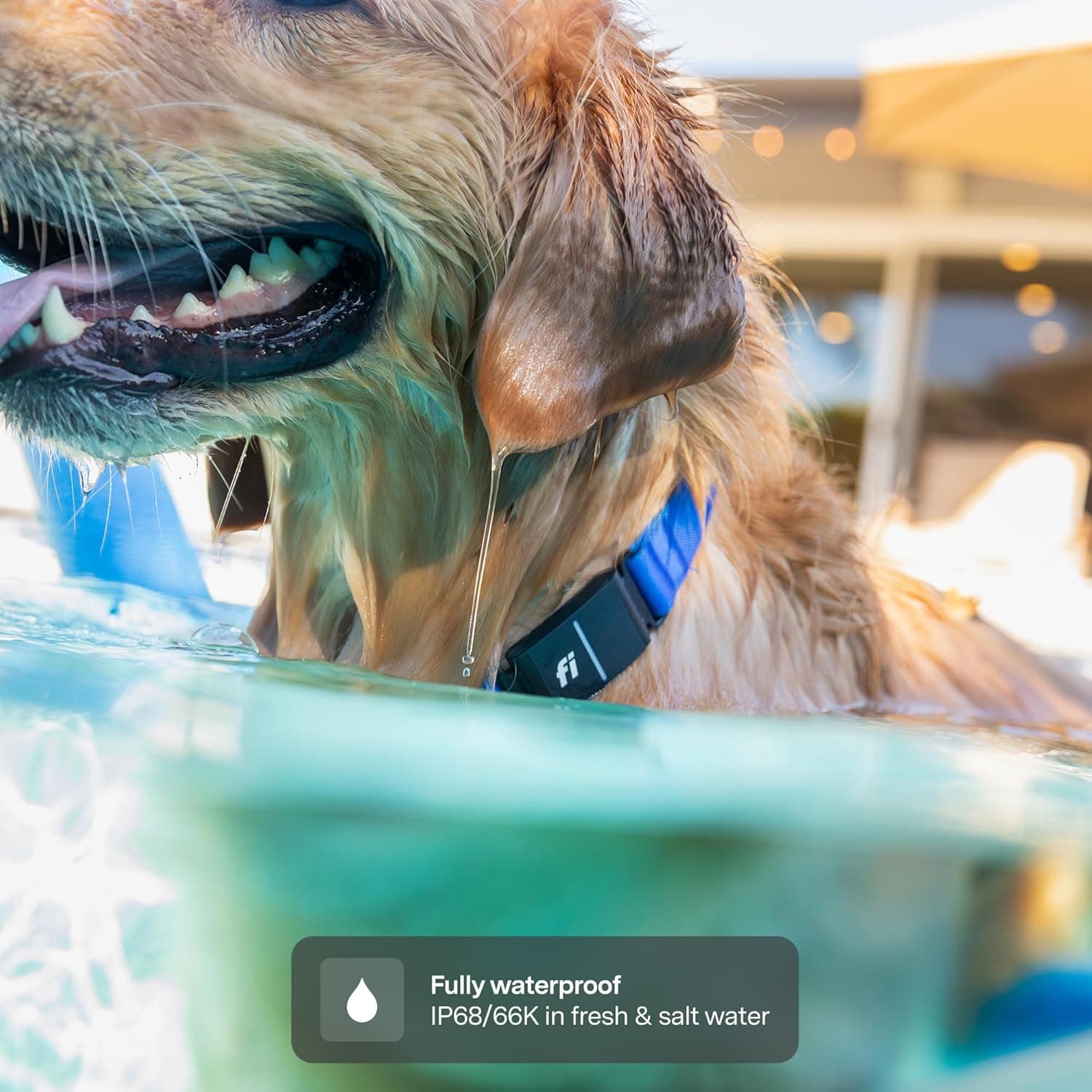 Fi Series 3+ Smart Dog Collar thumbnail 2