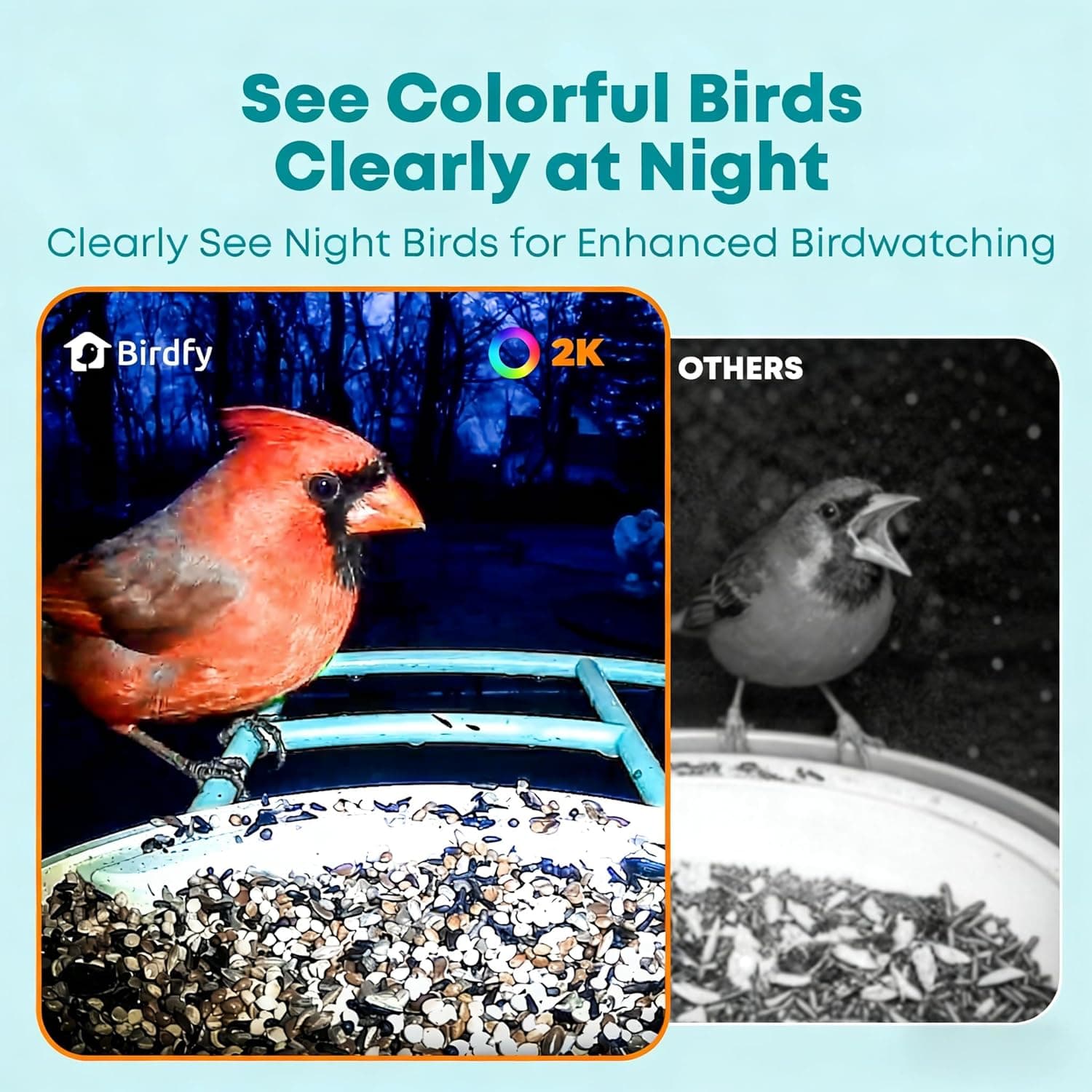 NETVUE Birdfy Smart Bird Feeder with AI Camera thumbnail 4