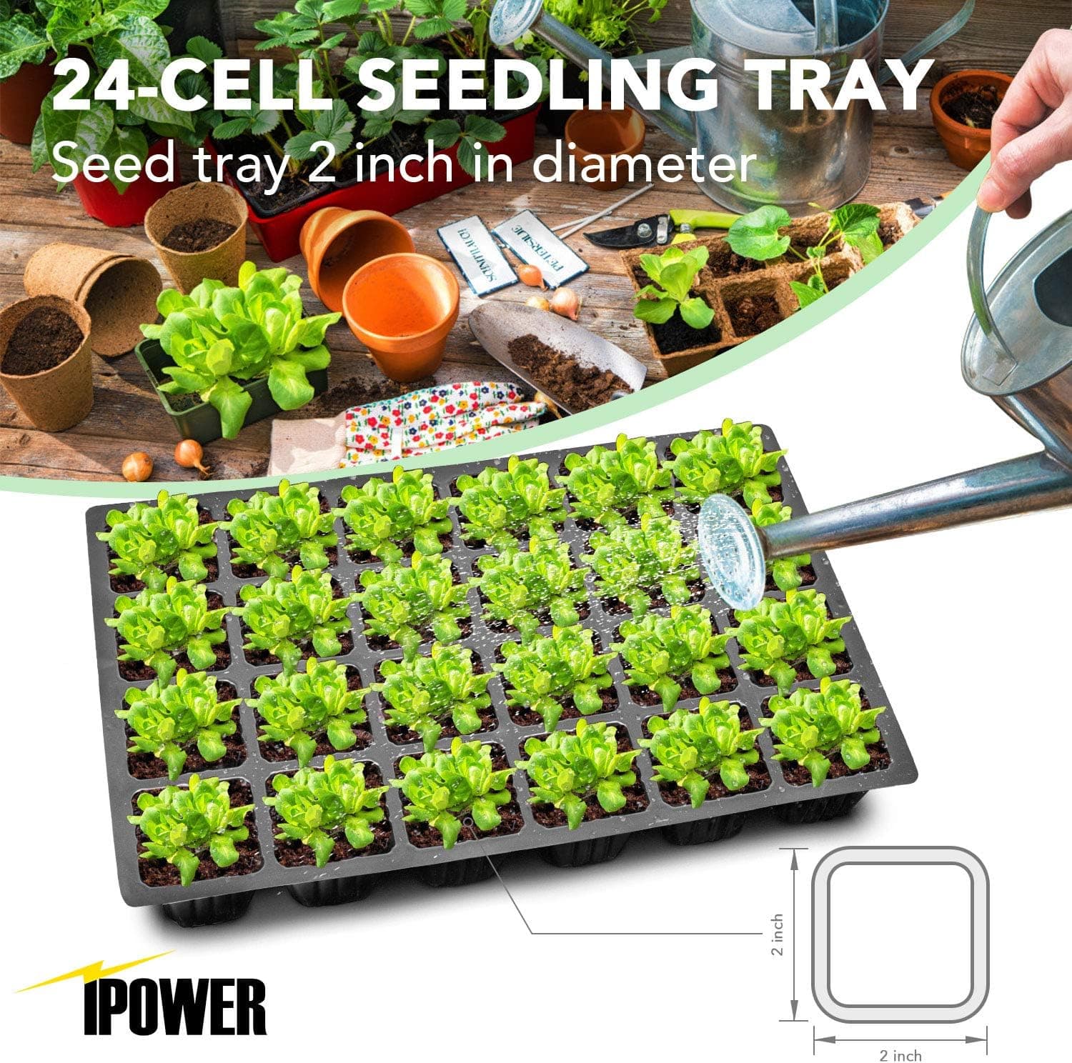 iPower Heating Seed Starter Germination Kit with Dome thumbnail 4