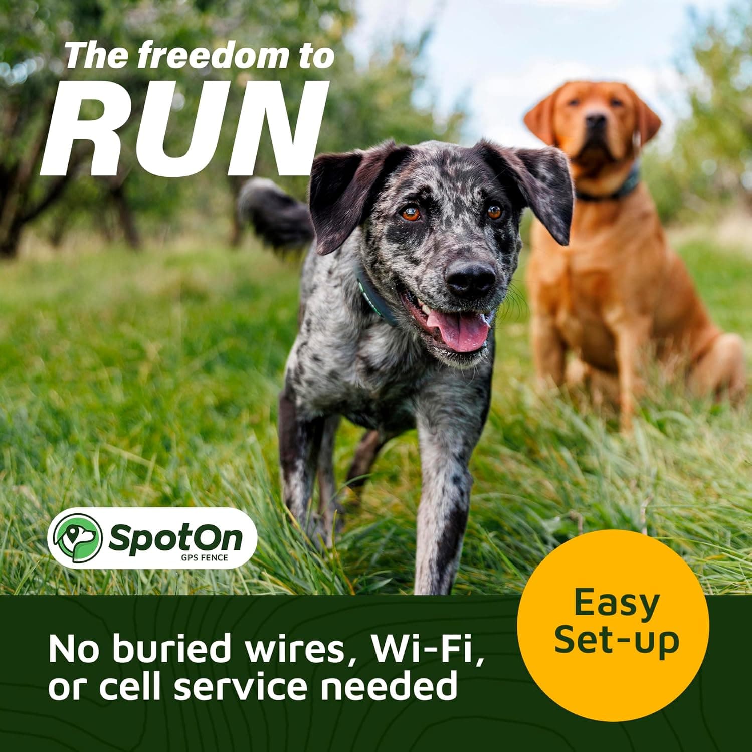 SpotOn GPS Wireless Dog Fence Collar thumbnail 2