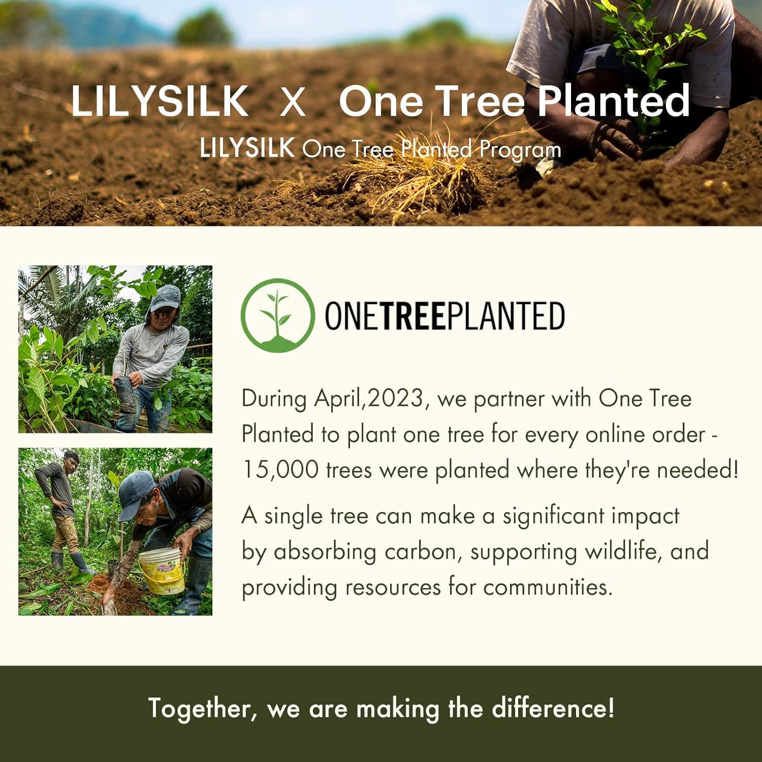 LILYSILK Silk Pillowcase for Hair and Skin Queen thumbnail 2