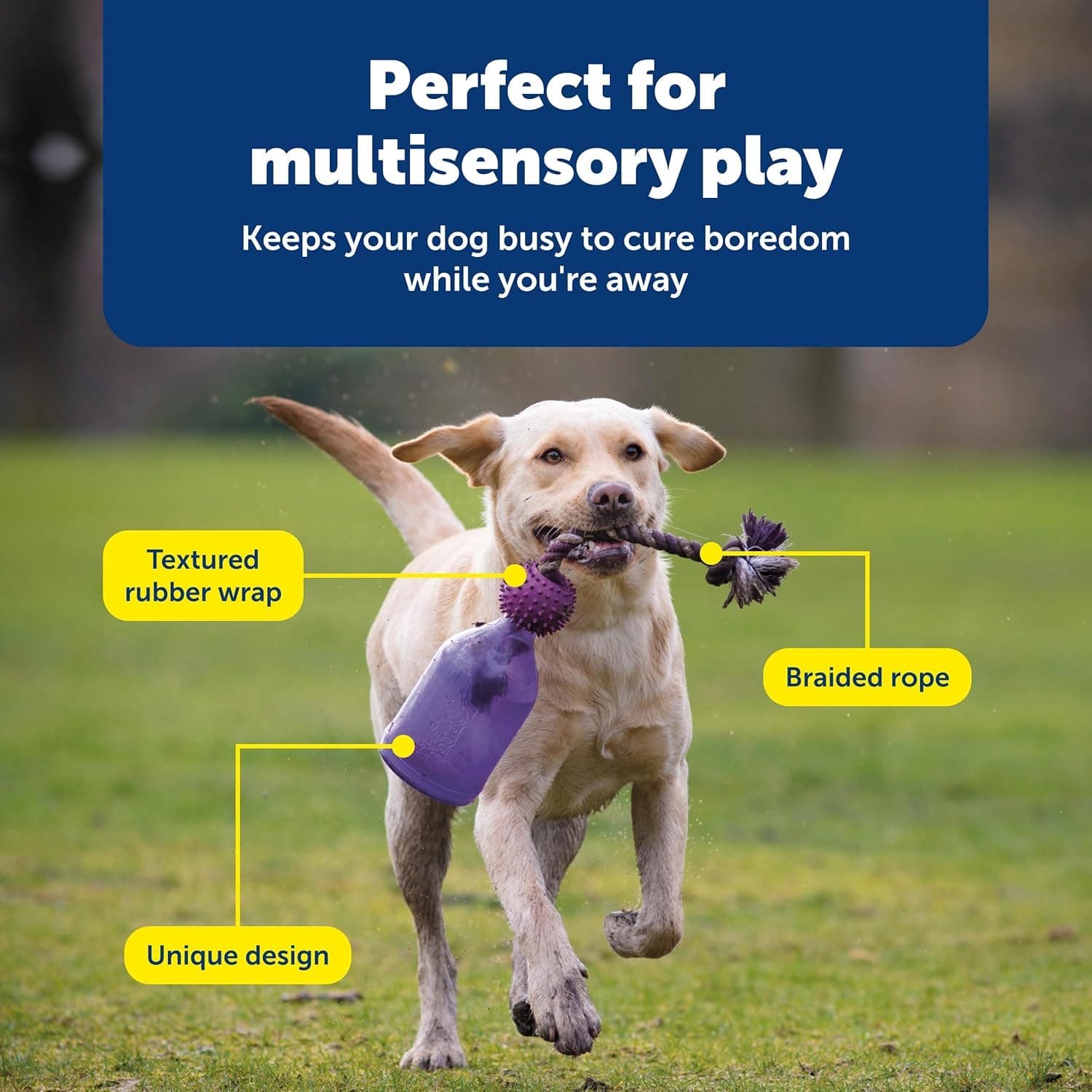 PetSafe Busy Buddy Tug-A-Jug Treat Dispensing Toy thumbnail 4