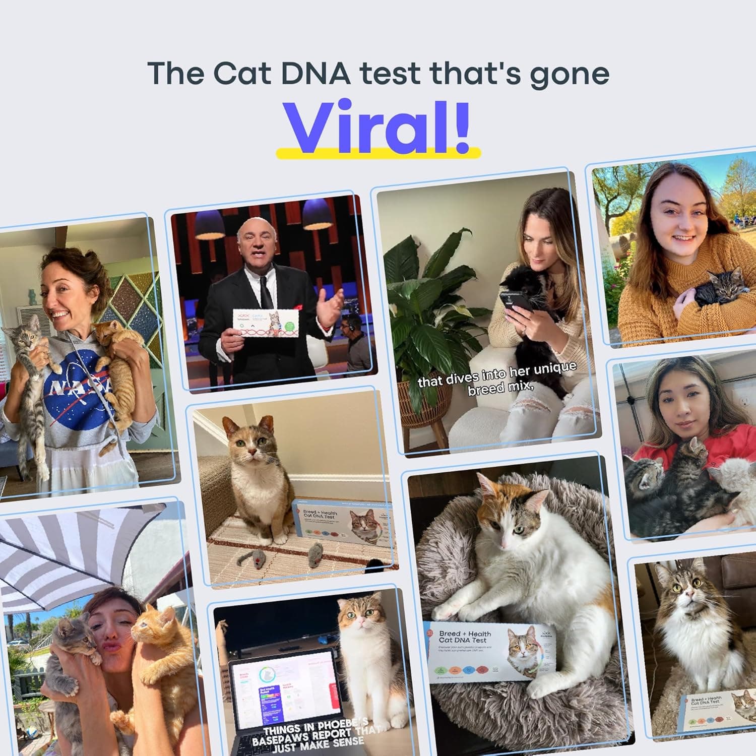 Basepaws Cat DNA Test Kit thumbnail 2
