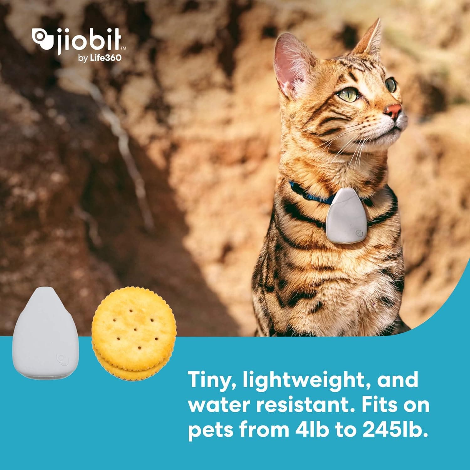 Jiobit GPS Tracker for Dogs and Cats thumbnail 5