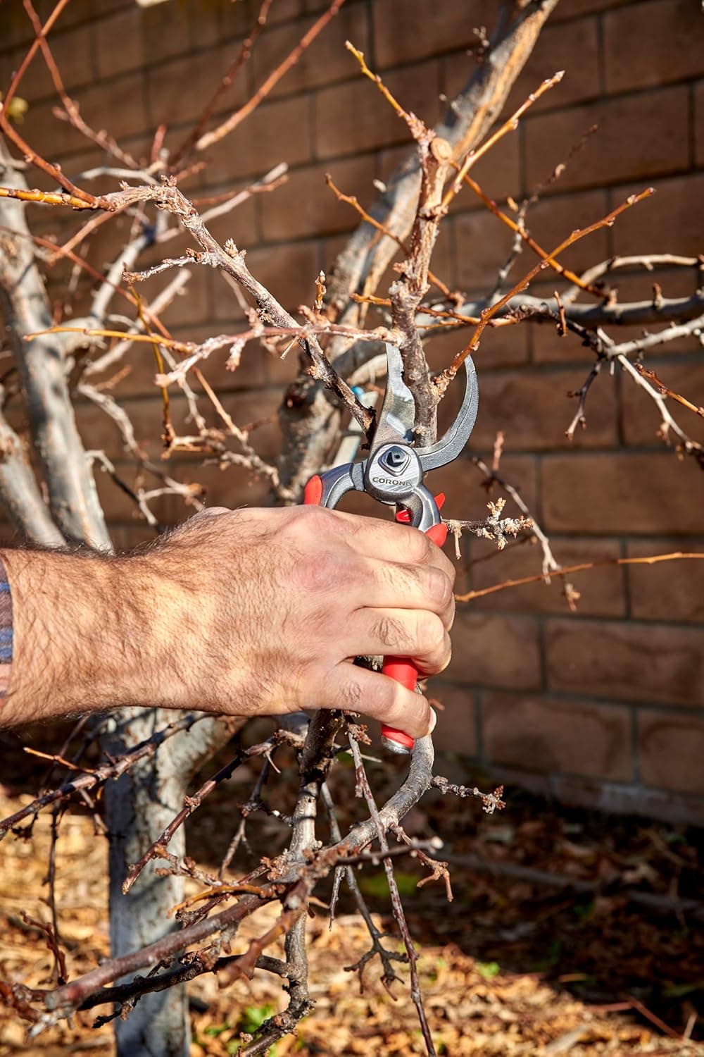 Corona BP 7100D DualCUT Forged Steel Bypass Pruner thumbnail 4