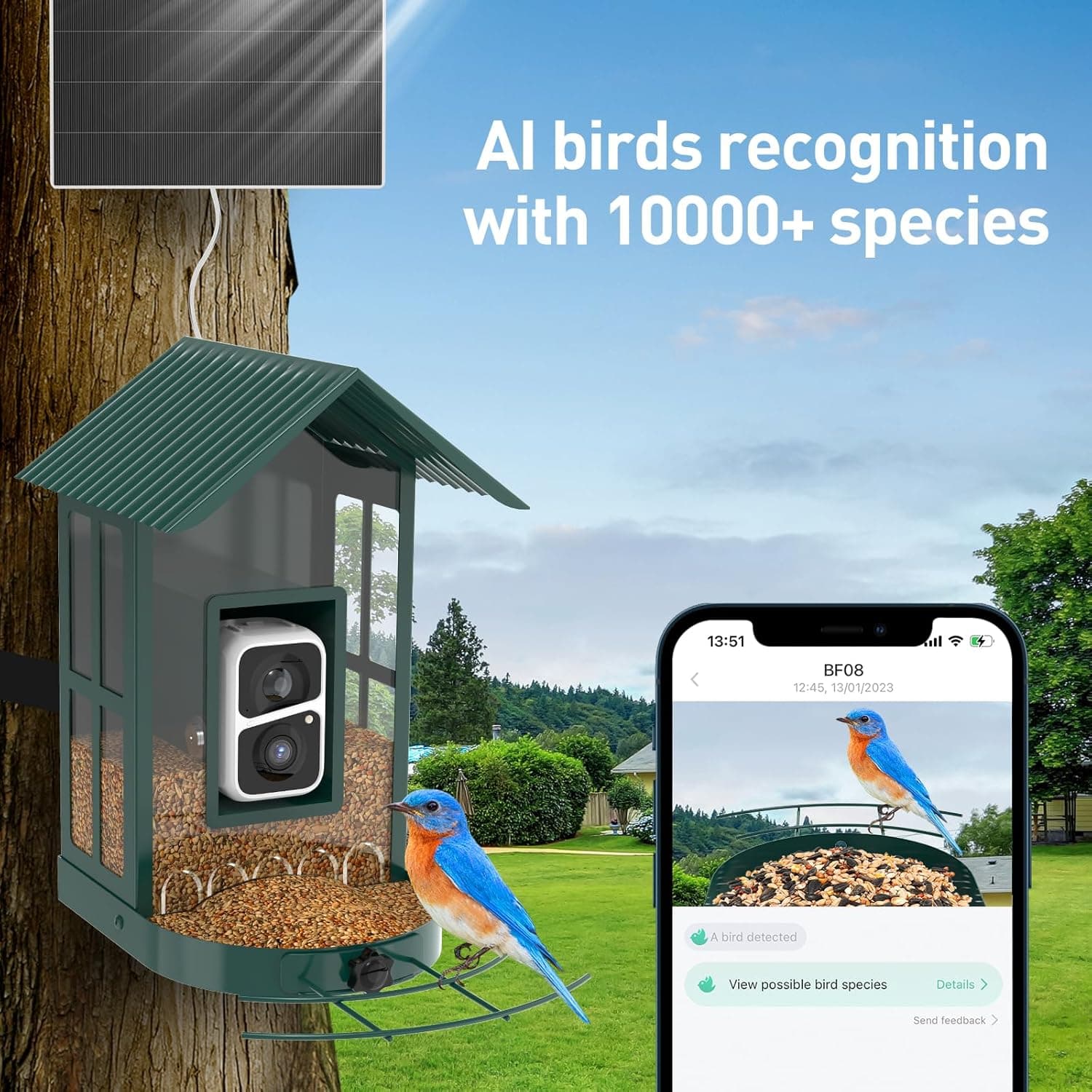 SOLIOM BF08 Smart Bird Feeder with Camera thumbnail 3