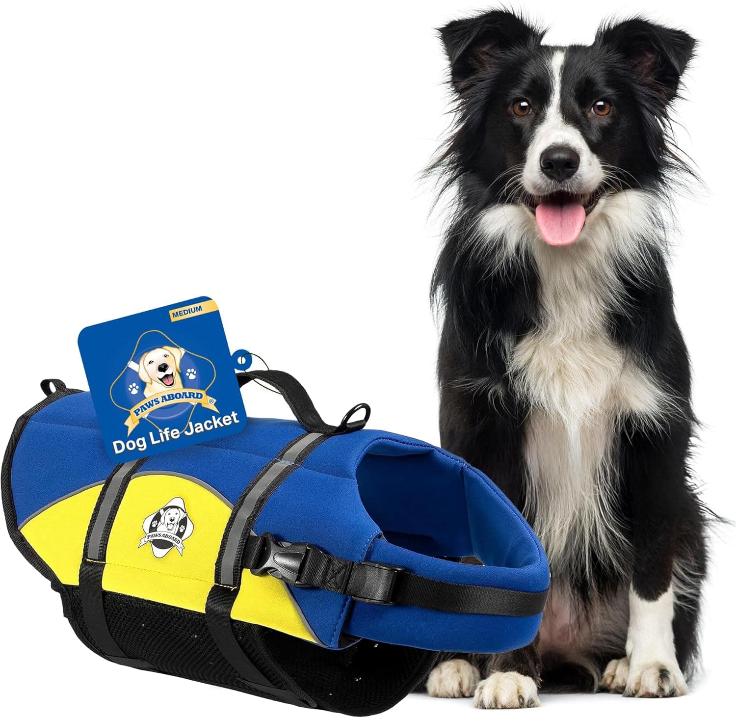 Paws Aboard Neoprene Dog Life Jacket - image 1