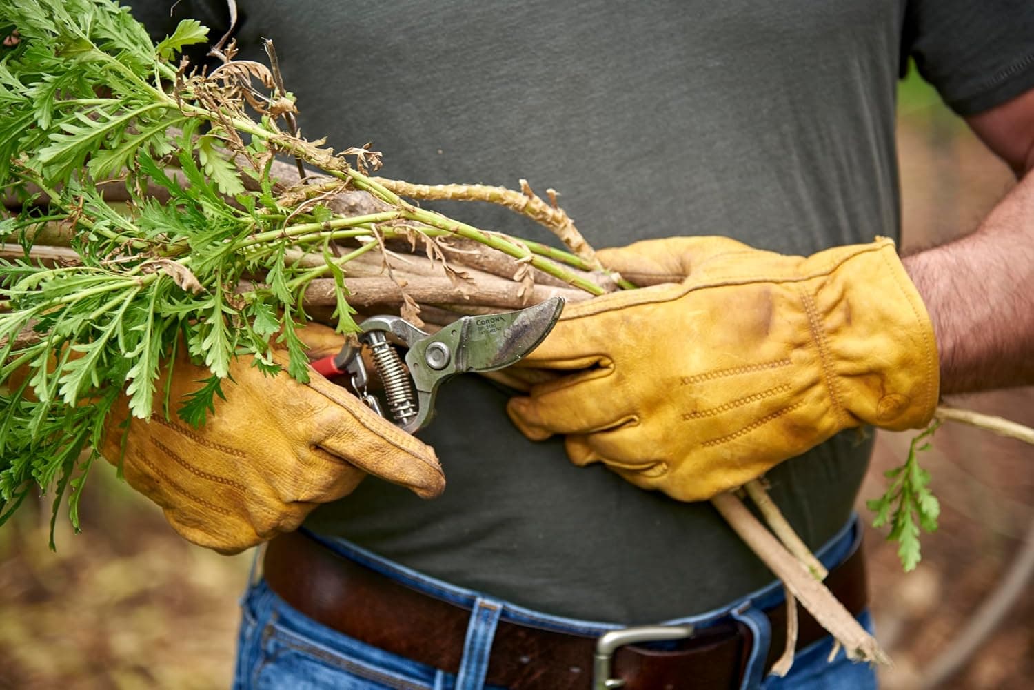 Corona BP 3180D Forged Classic Bypass Pruner thumbnail 2