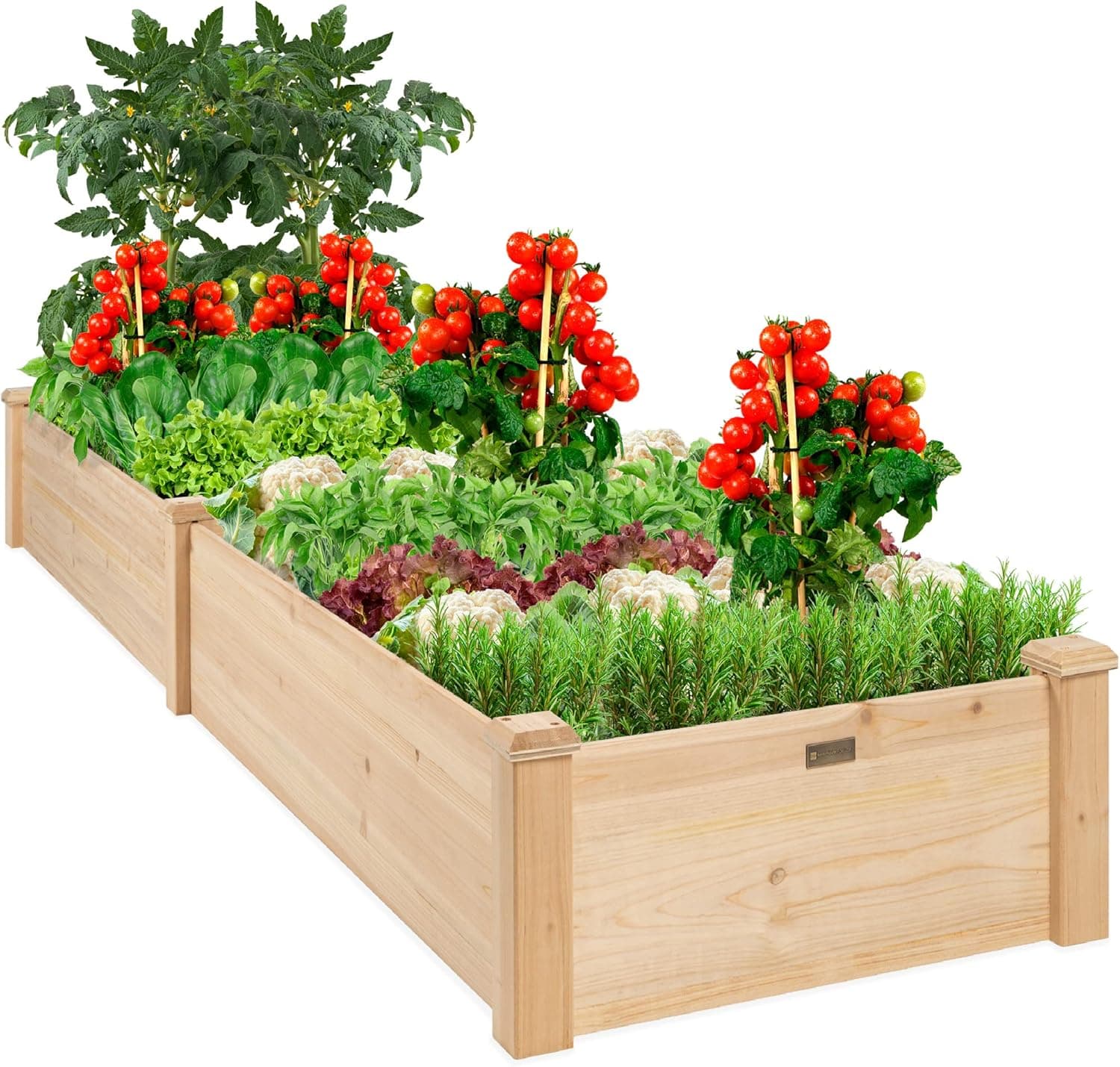 Best Choice Products Raised Garden Bed 8x2 ft