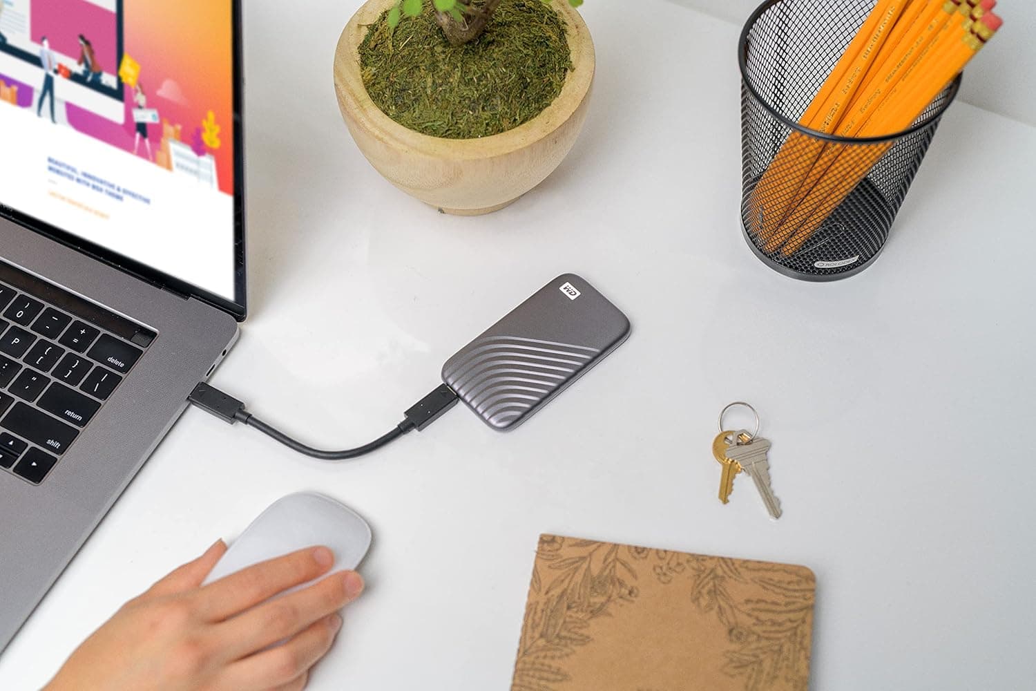 WD My Passport SSD (2TB) thumbnail 2