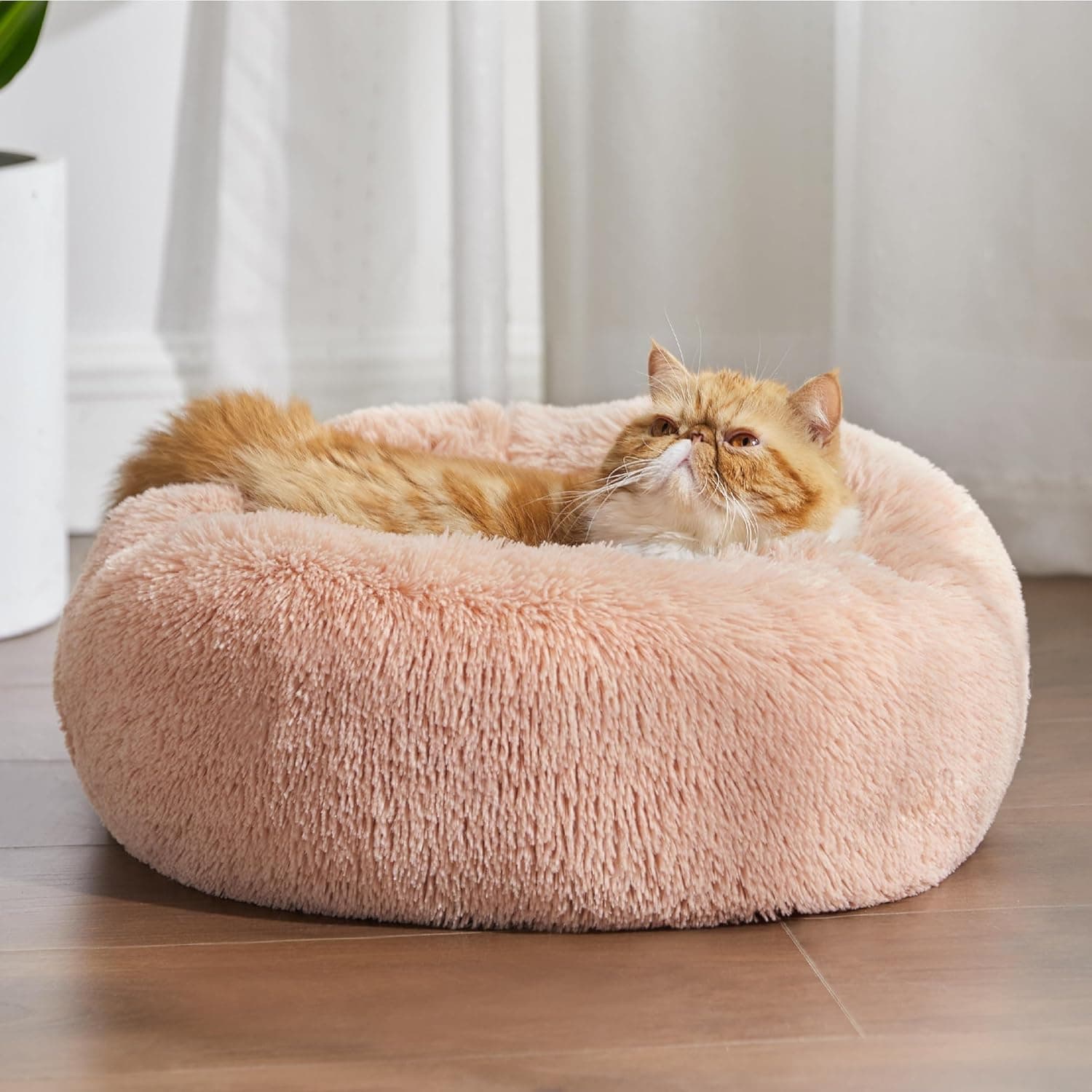 Bedsure Calming Cat Bed for Indoor Cats thumbnail 3