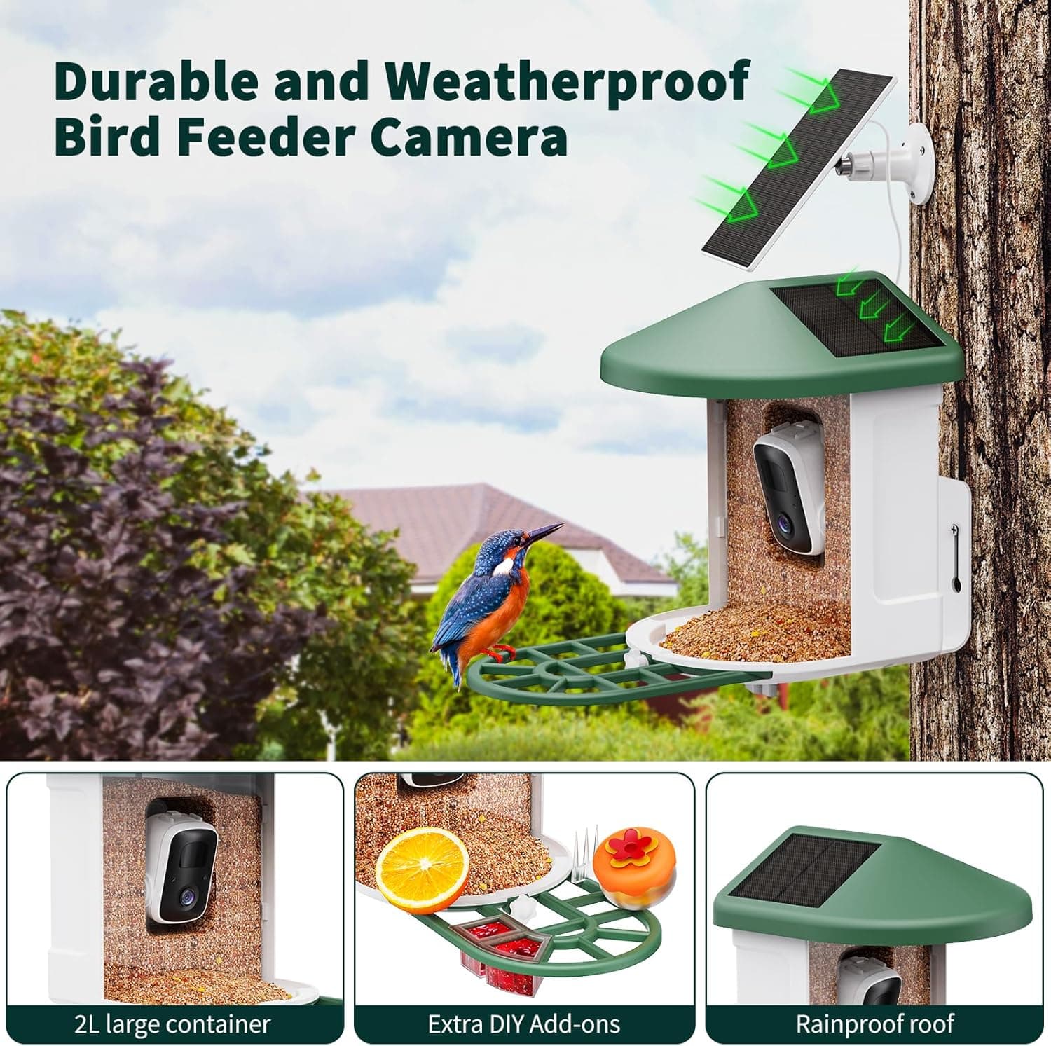HARYMOR Smart Bird Feeder with AI Camera thumbnail 3
