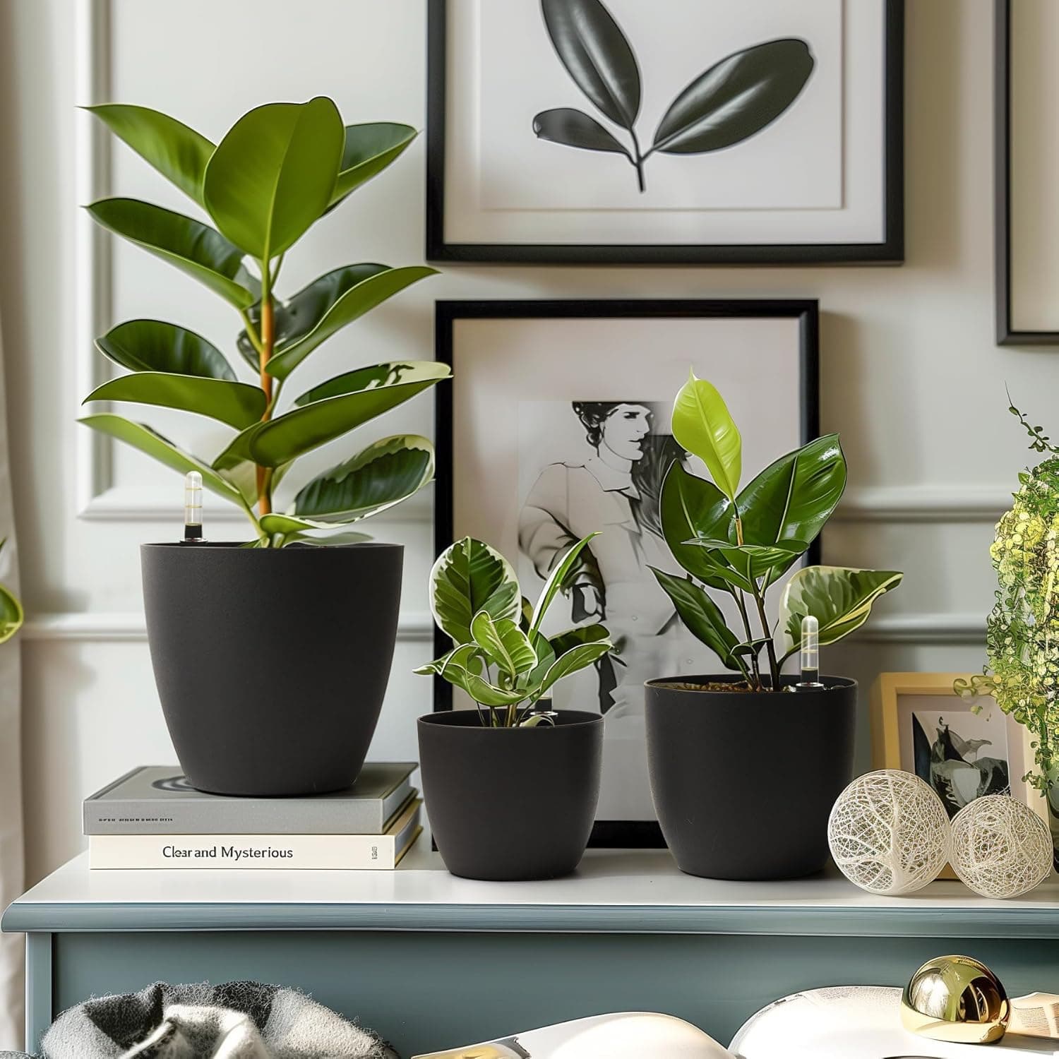 T4U 6 Inch Self-Watering Planter with Water Level Indicator 4 Pack thumbnail 2