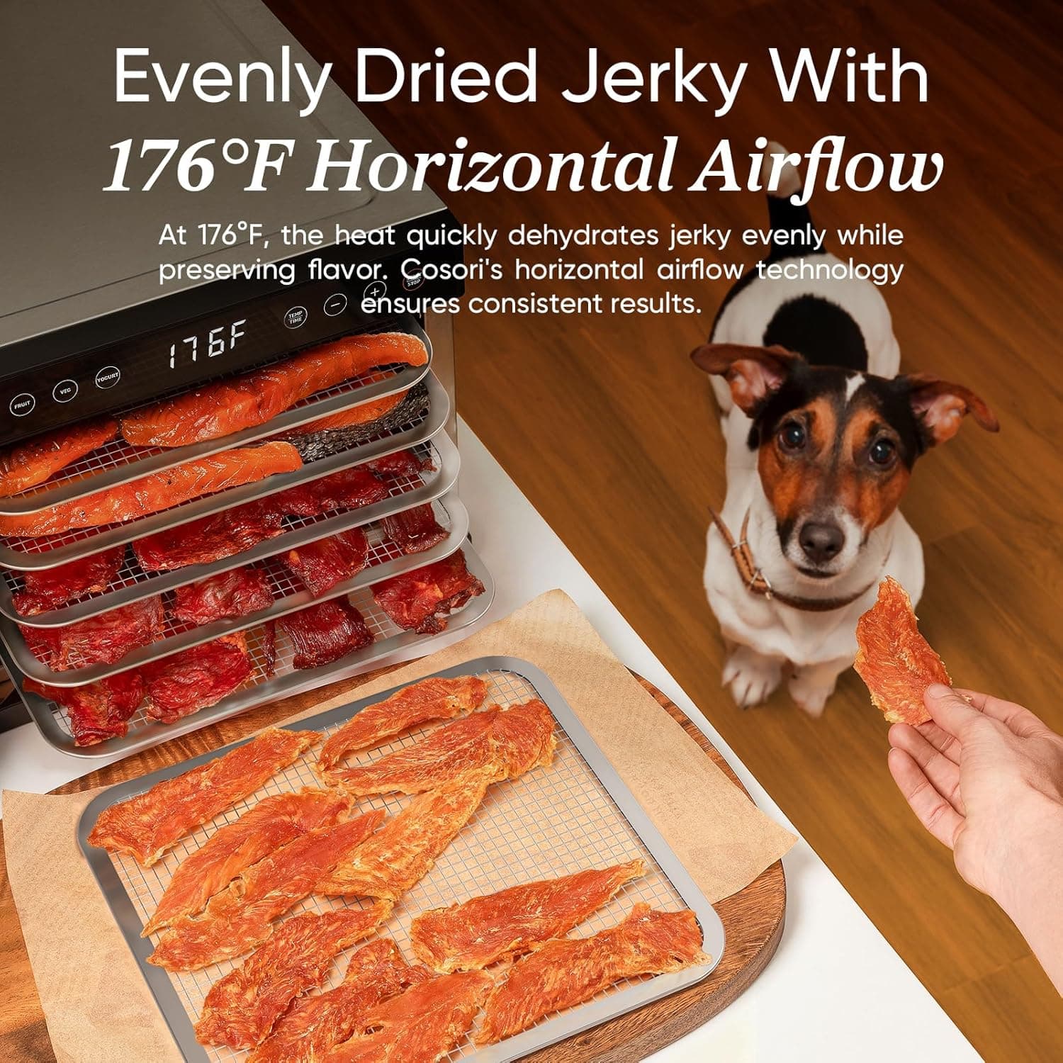 COSORI Food Dehydrator 5-Tray with 176°F Control thumbnail 3