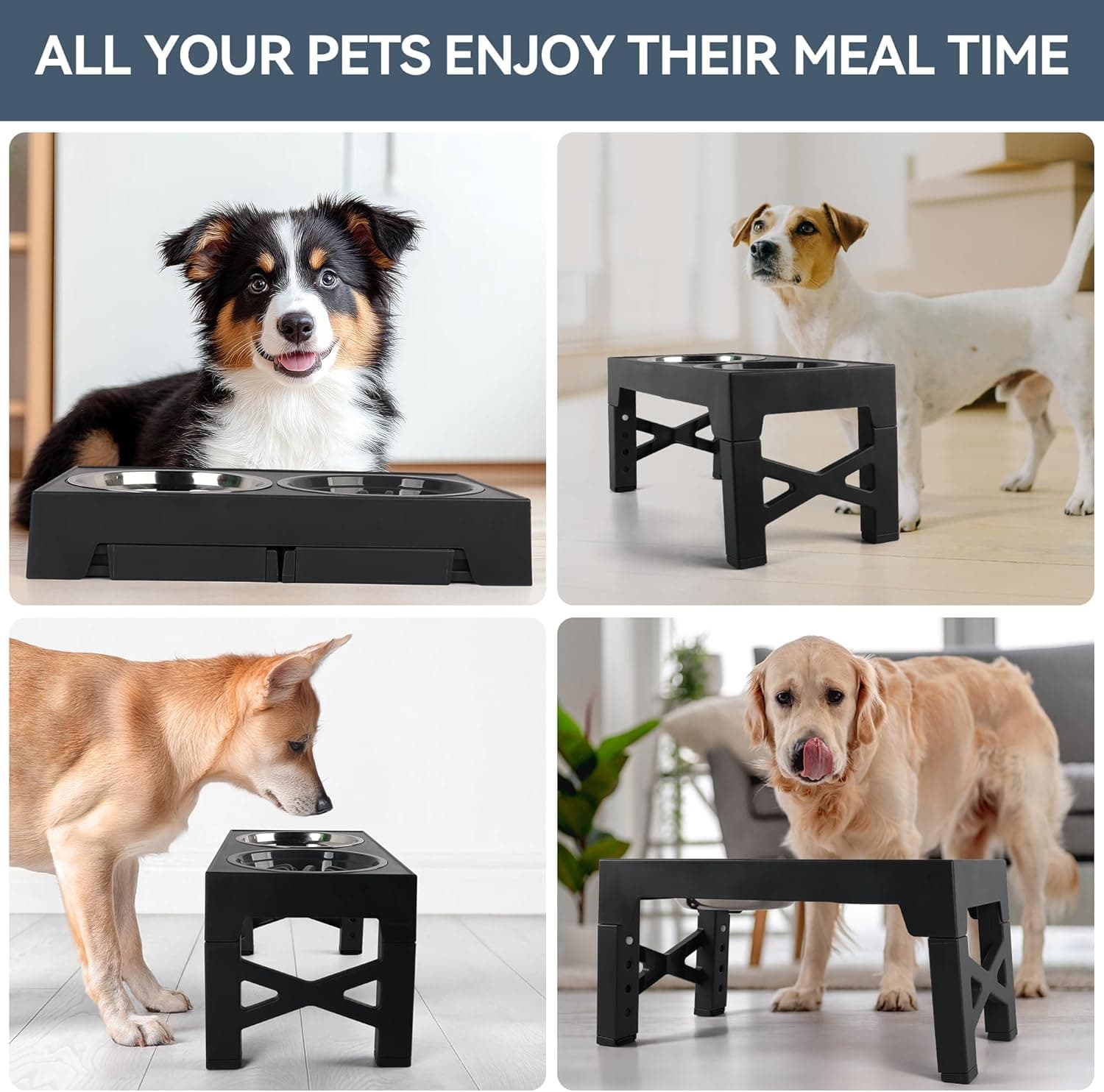 PAWISE Elevated Dog Bowls 4 Height Adjustable thumbnail 3