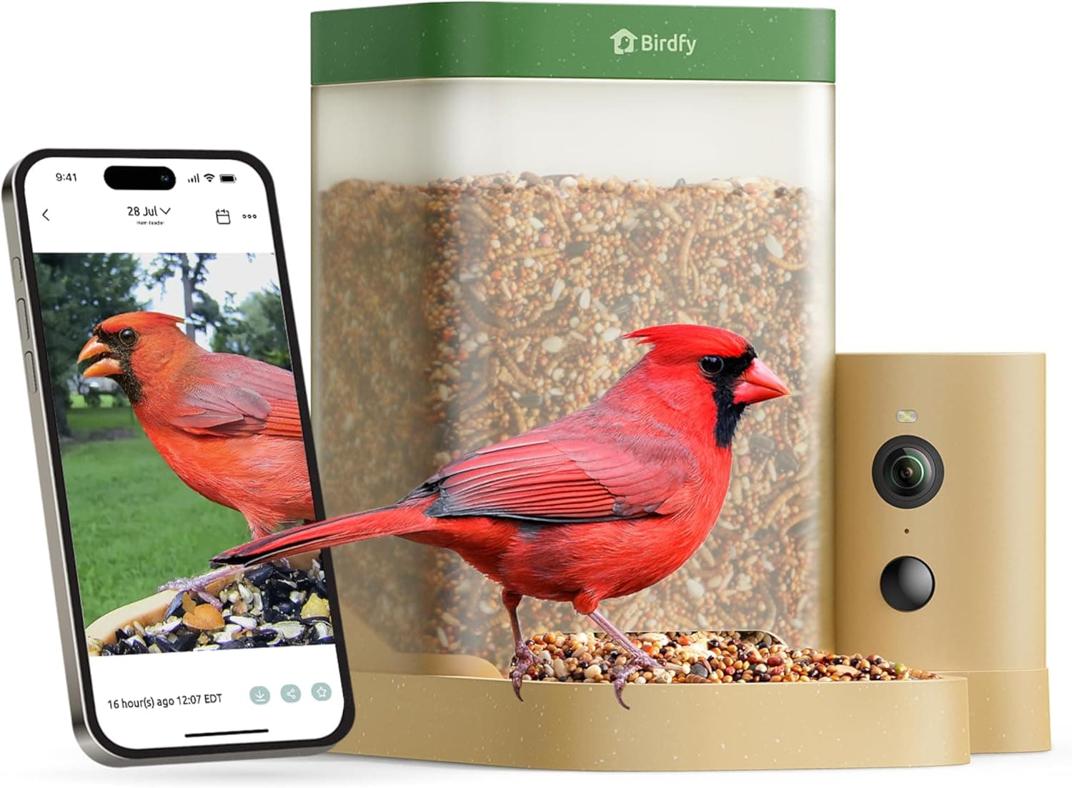 Birdfy Smart Bird Feeder Rookie - image 1