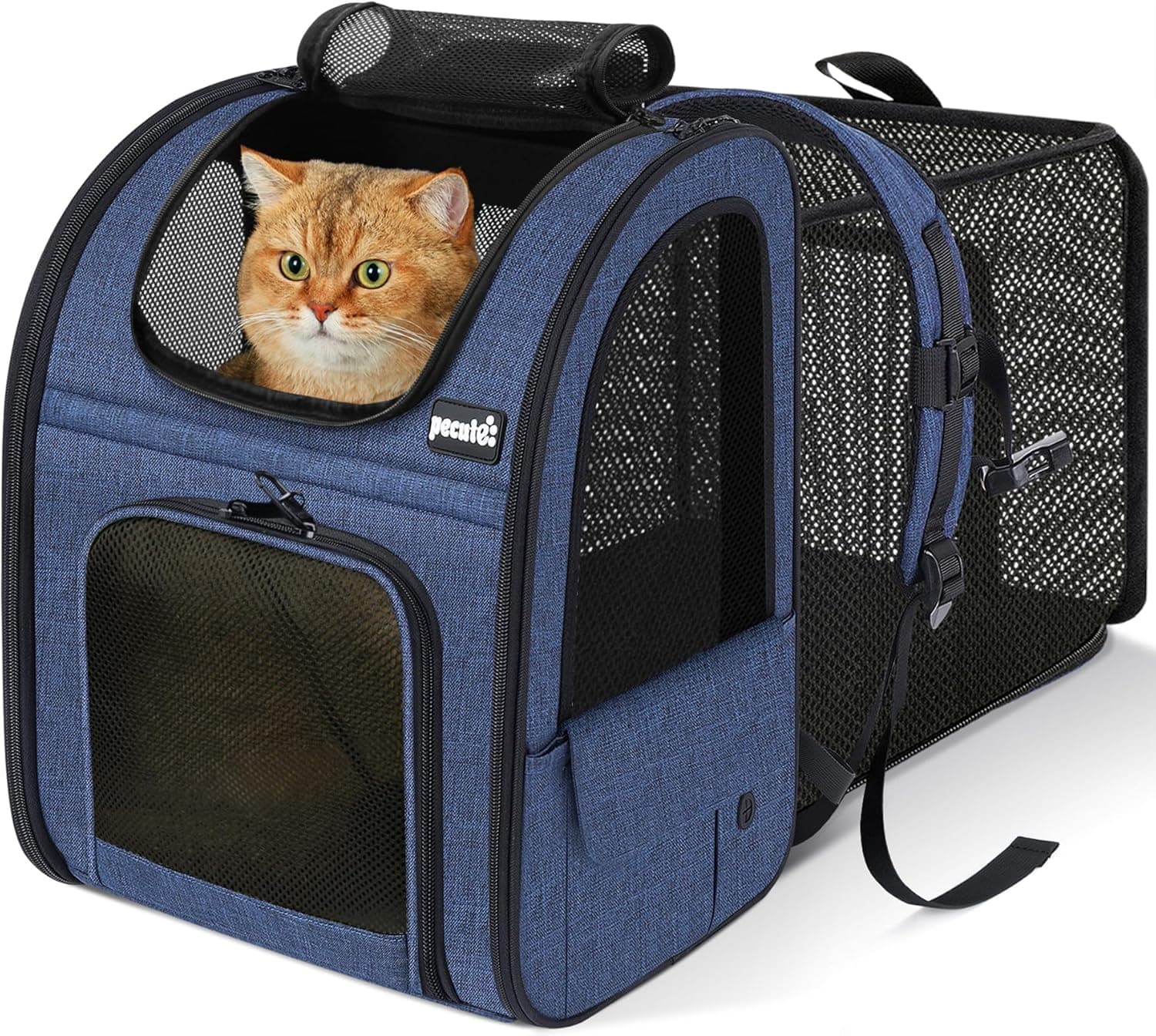 Pecute Expandable Cat Backpack Carrier - image 1