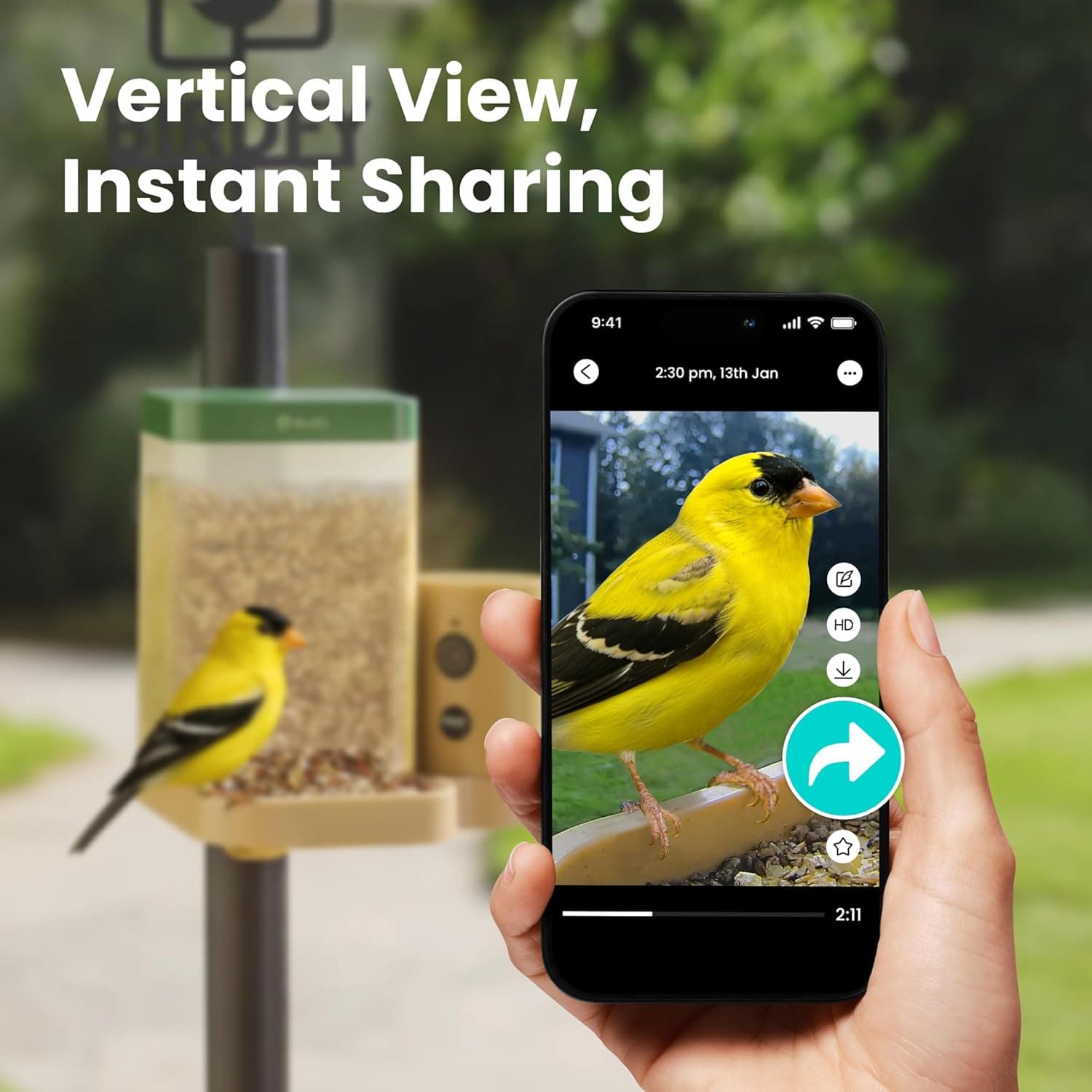 Birdfy Smart Bird Feeder Rookie thumbnail 5