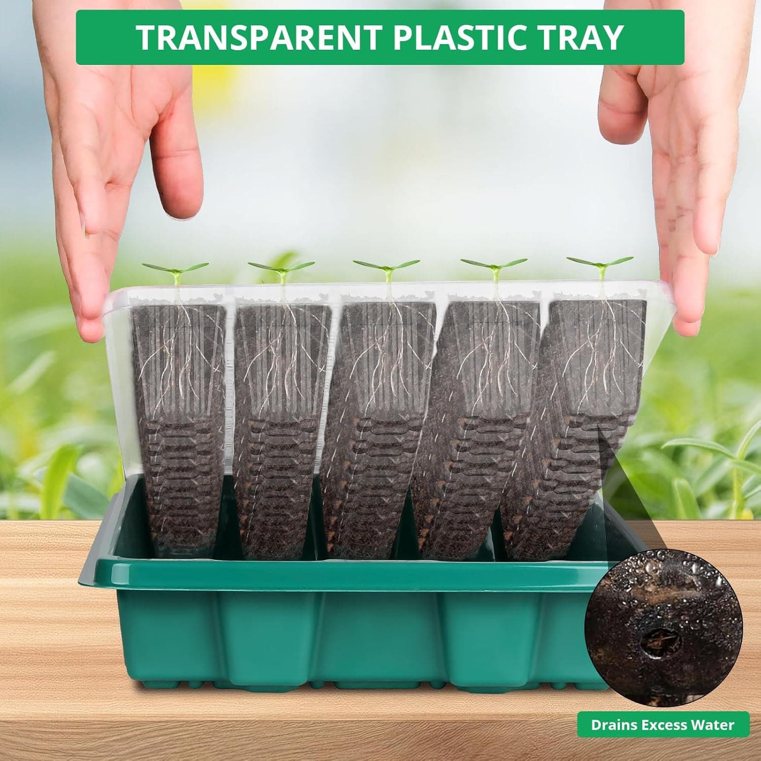 Sondiko Seed Starter Tray with Grow Light – 80 Cells, 2 Pack thumbnail 4