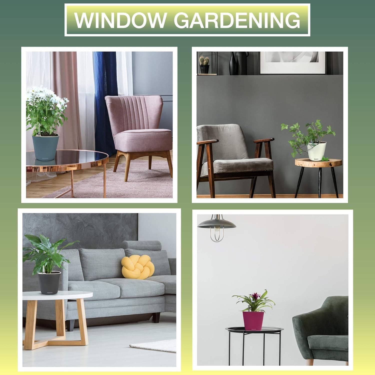 Aquaphoric Self-Watering Planter 7 Inch thumbnail 5