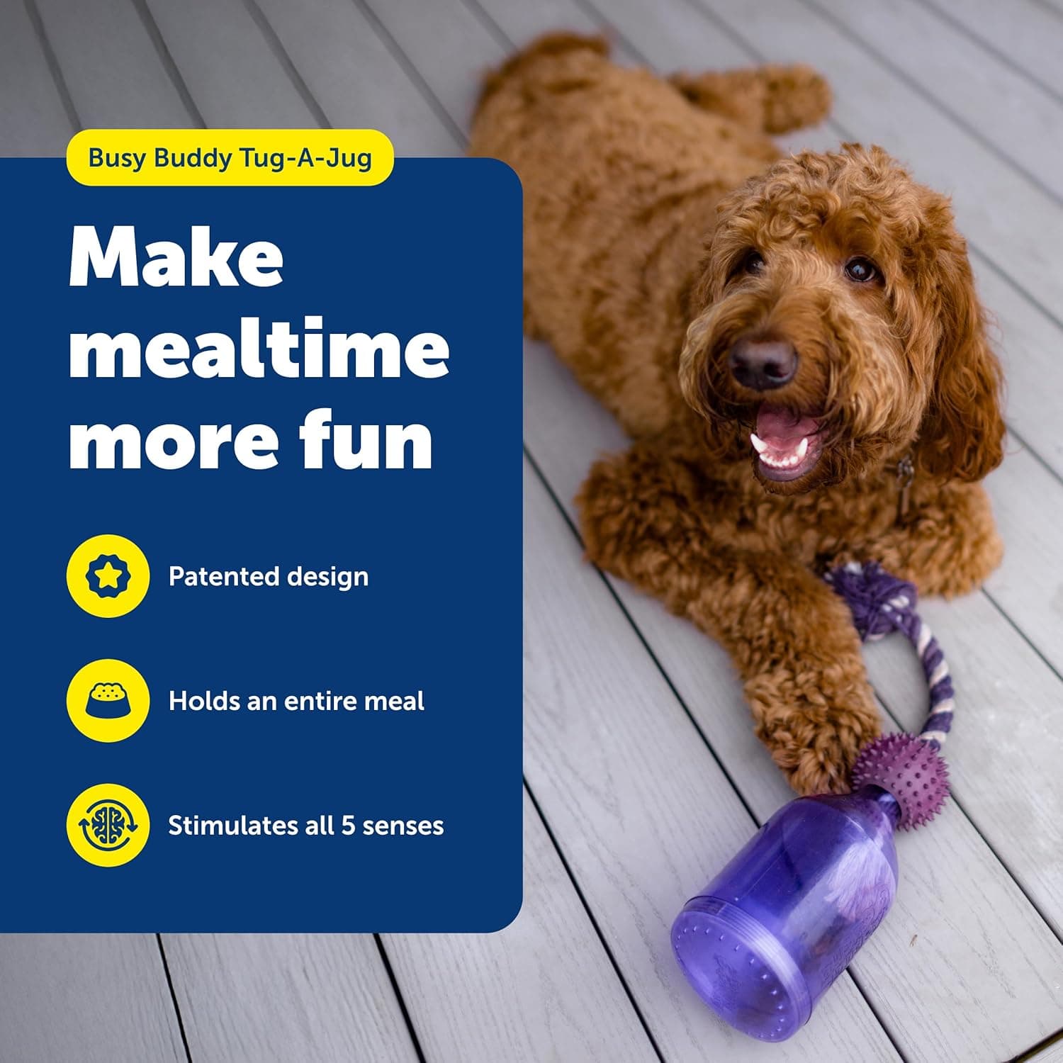 PetSafe Busy Buddy Tug-A-Jug Treat Dispensing Toy thumbnail 2