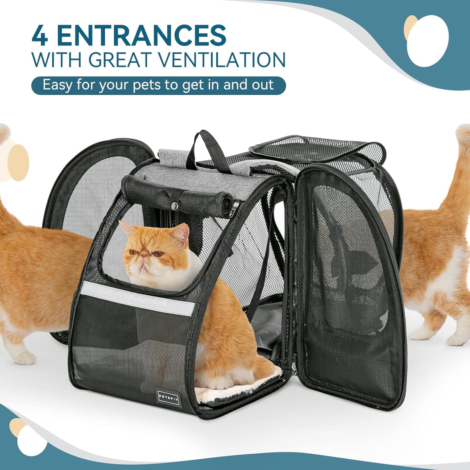Petsfit Expandable Cat Backpack Carrier thumbnail 5