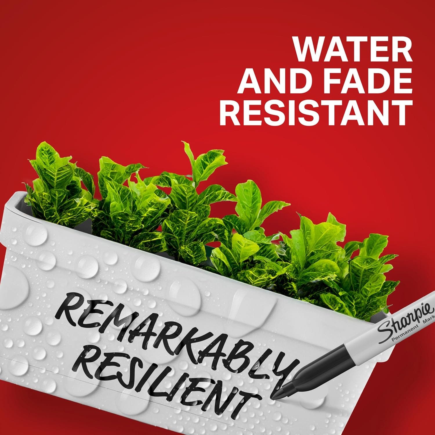 Pilot G2 Premium Retractable Gel Pen, Fine Point 0.7mm, 12-Pack thumbnail 5