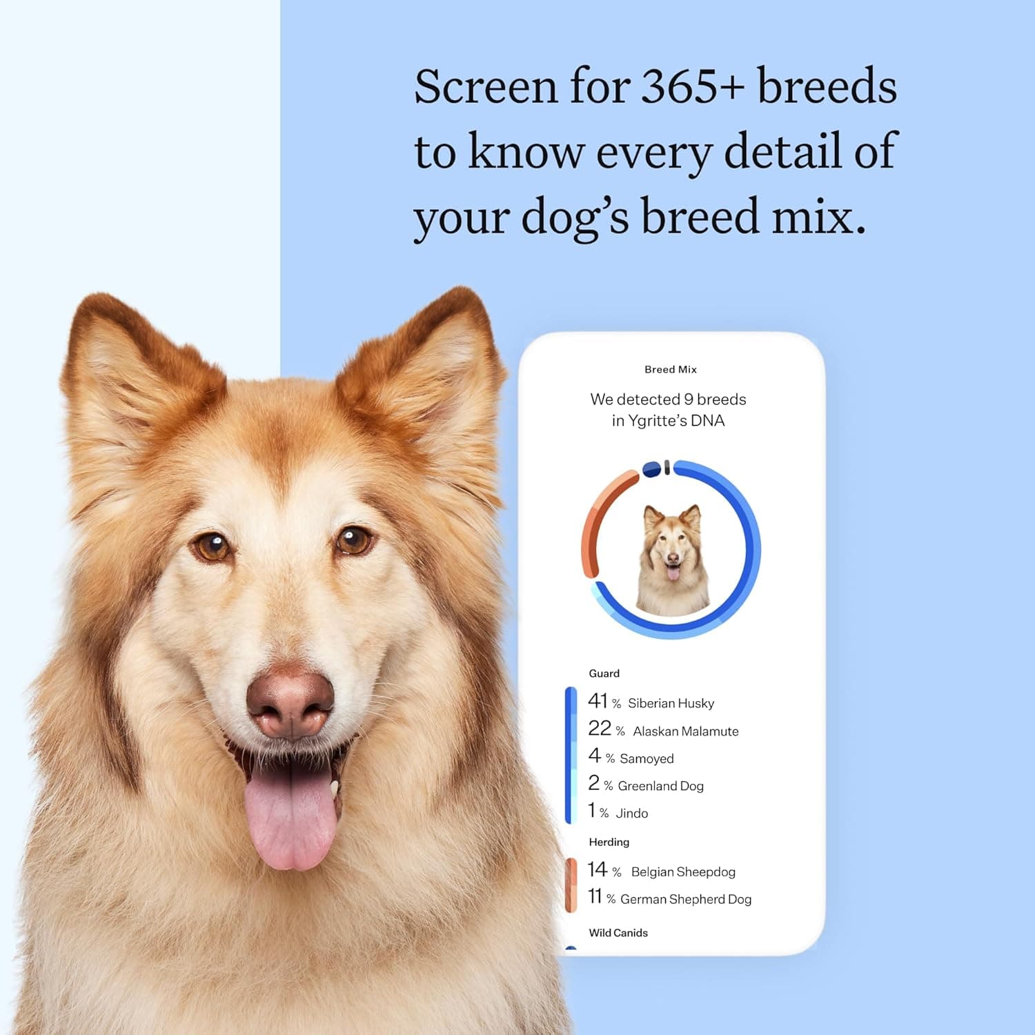 Wisdom Panel Breed Discovery Dog DNA Kit thumbnail 2