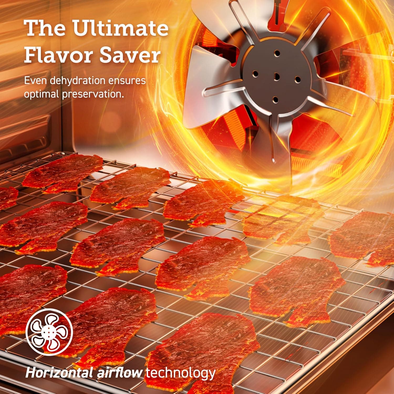 COSORI Premium Pro 10-Tray Stainless Steel Food Dehydrator thumbnail 4