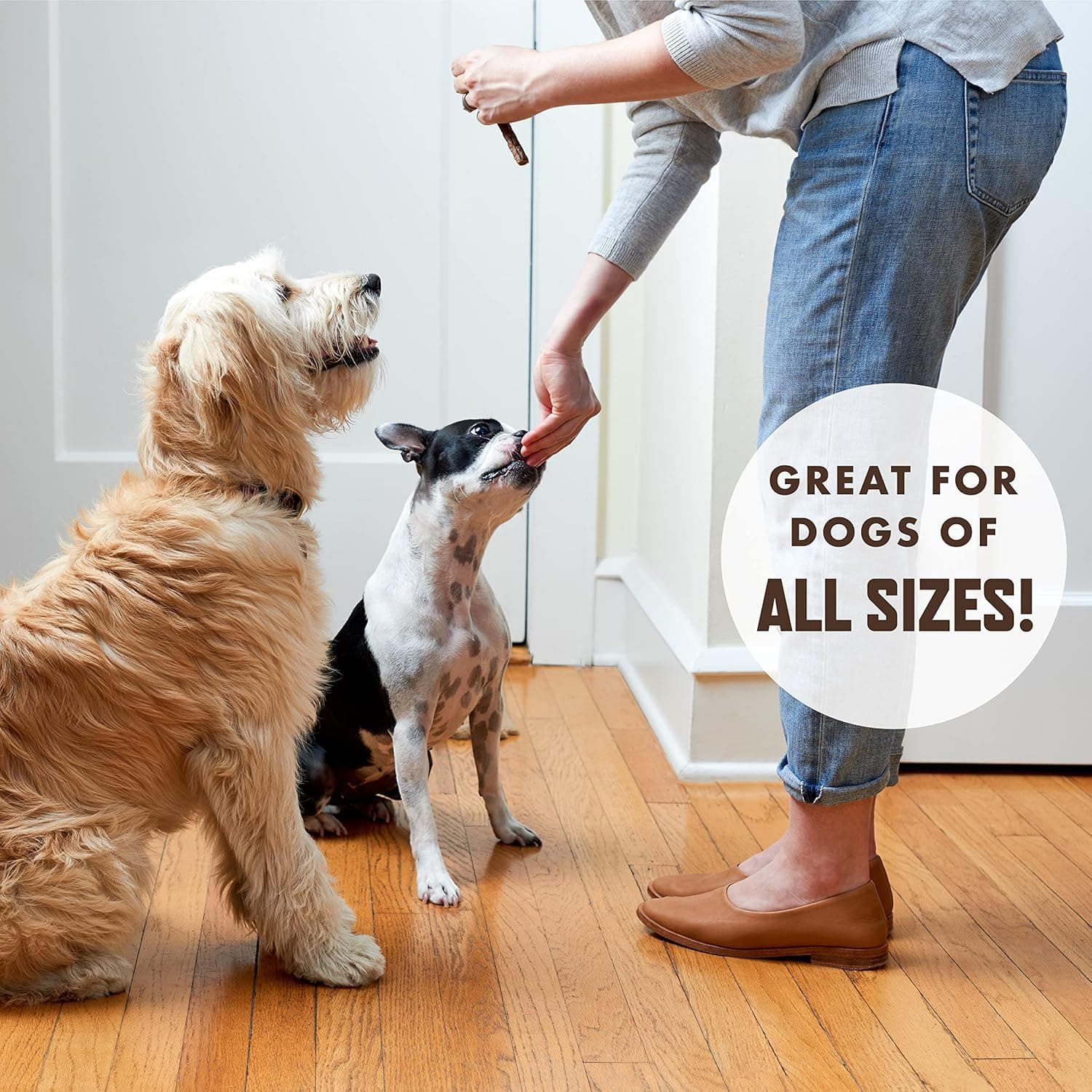 Rocco & Roxie Beef Jerky Dog Treats thumbnail 5