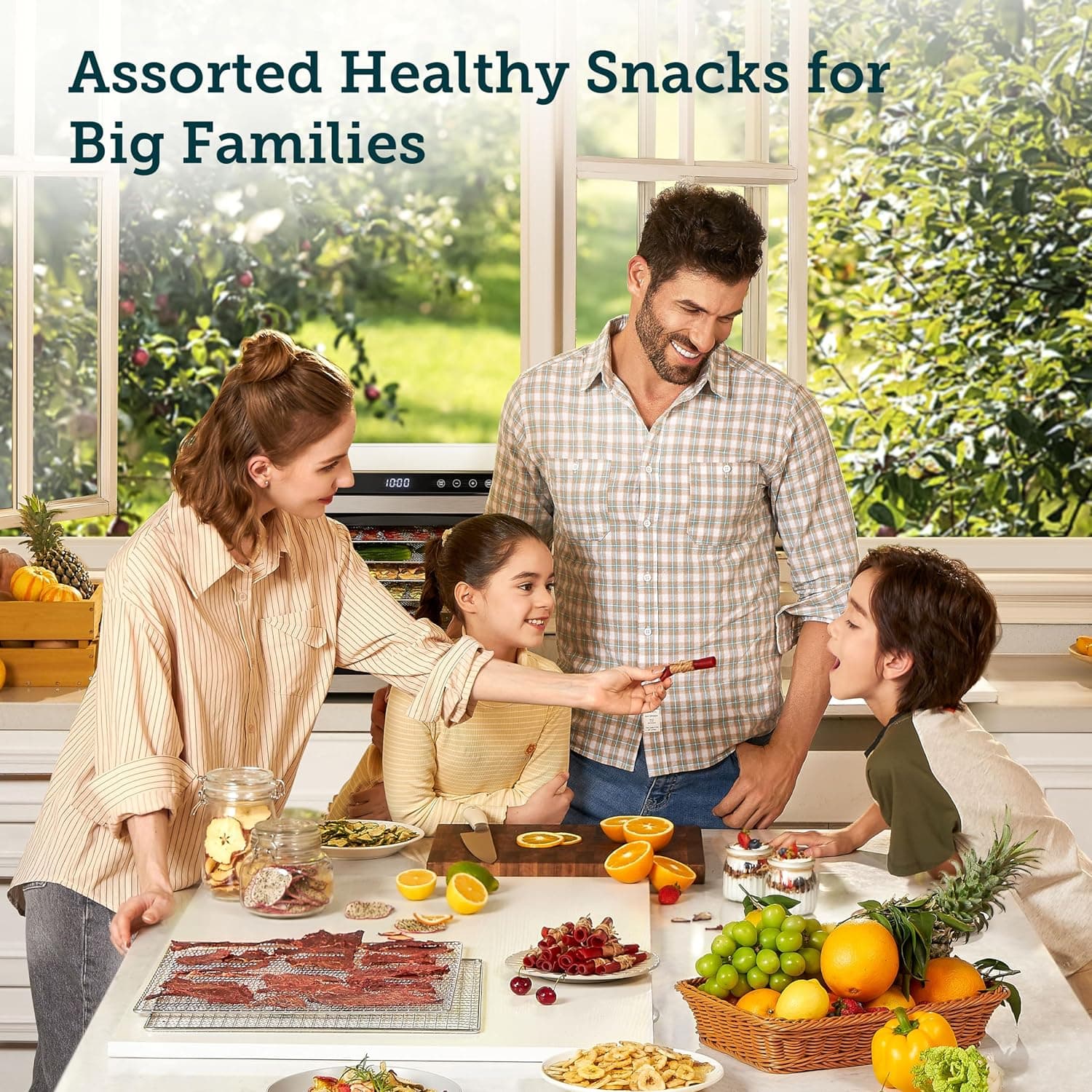 COSORI Premium Pro 10-Tray Stainless Steel Food Dehydrator thumbnail 3