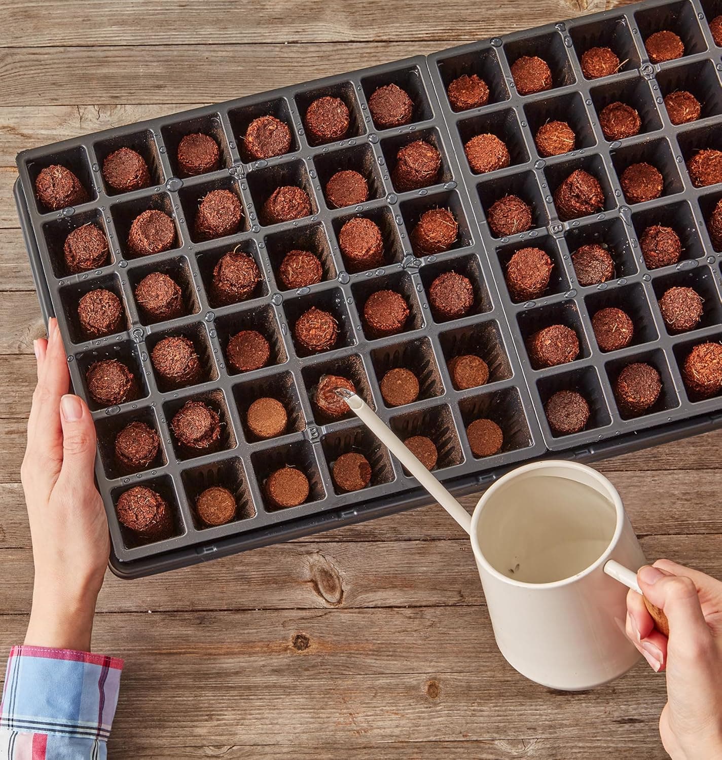 Burpee 72 Cell Self-Watering Seed Starter Tray thumbnail 3