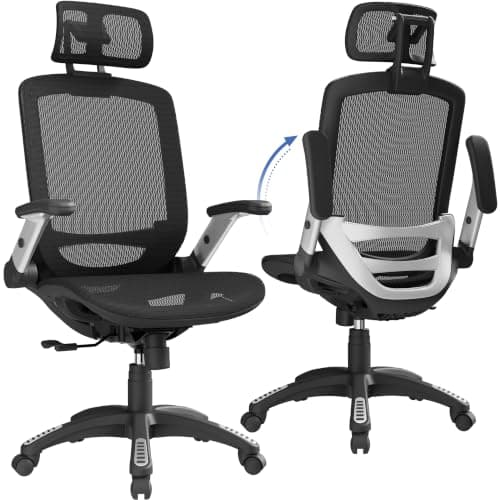 GABRYLLY Ergonomic Office Chair, High Back Home Desk Chair with Headrest